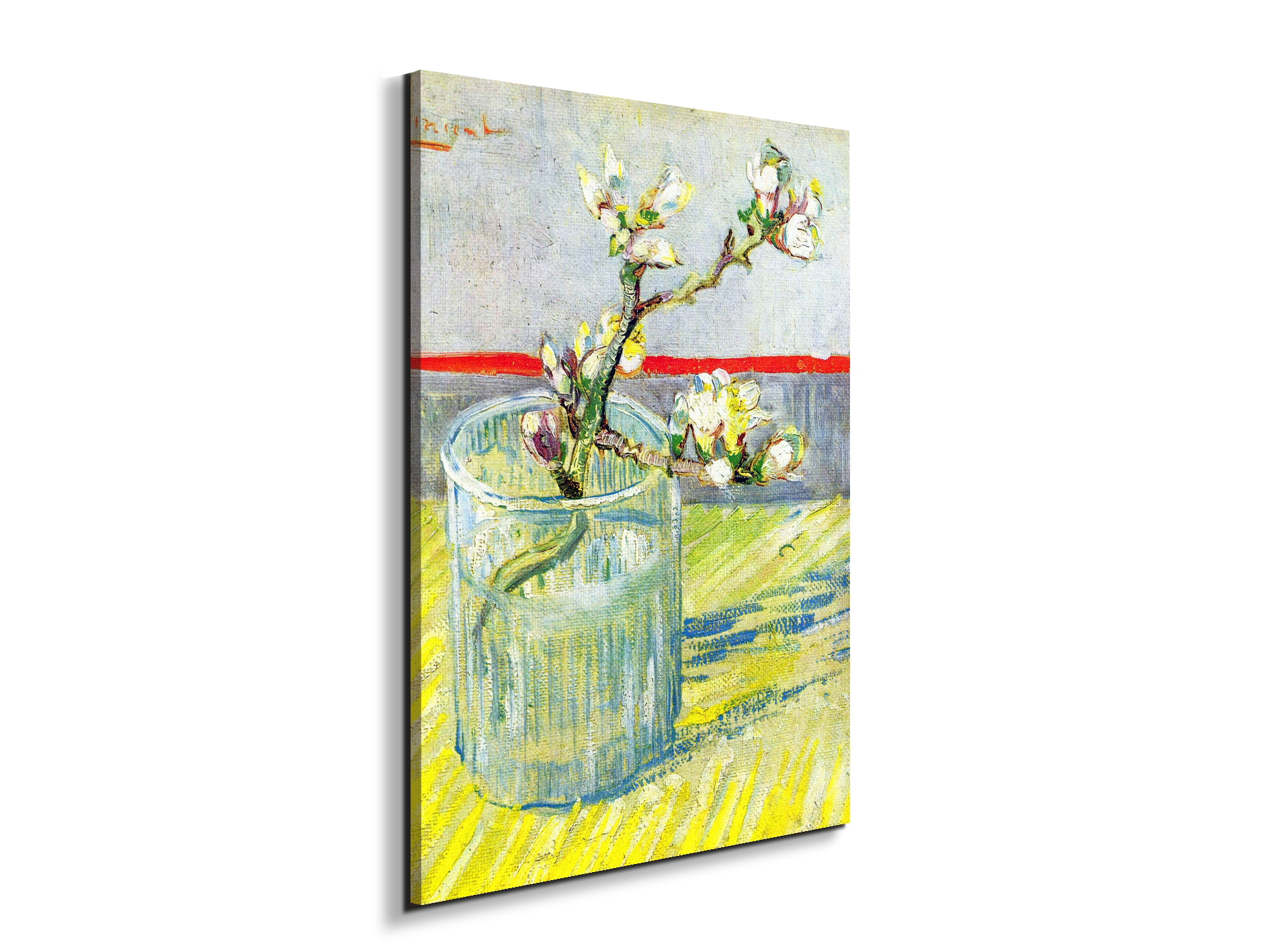 almond-blossom-branchas90547-