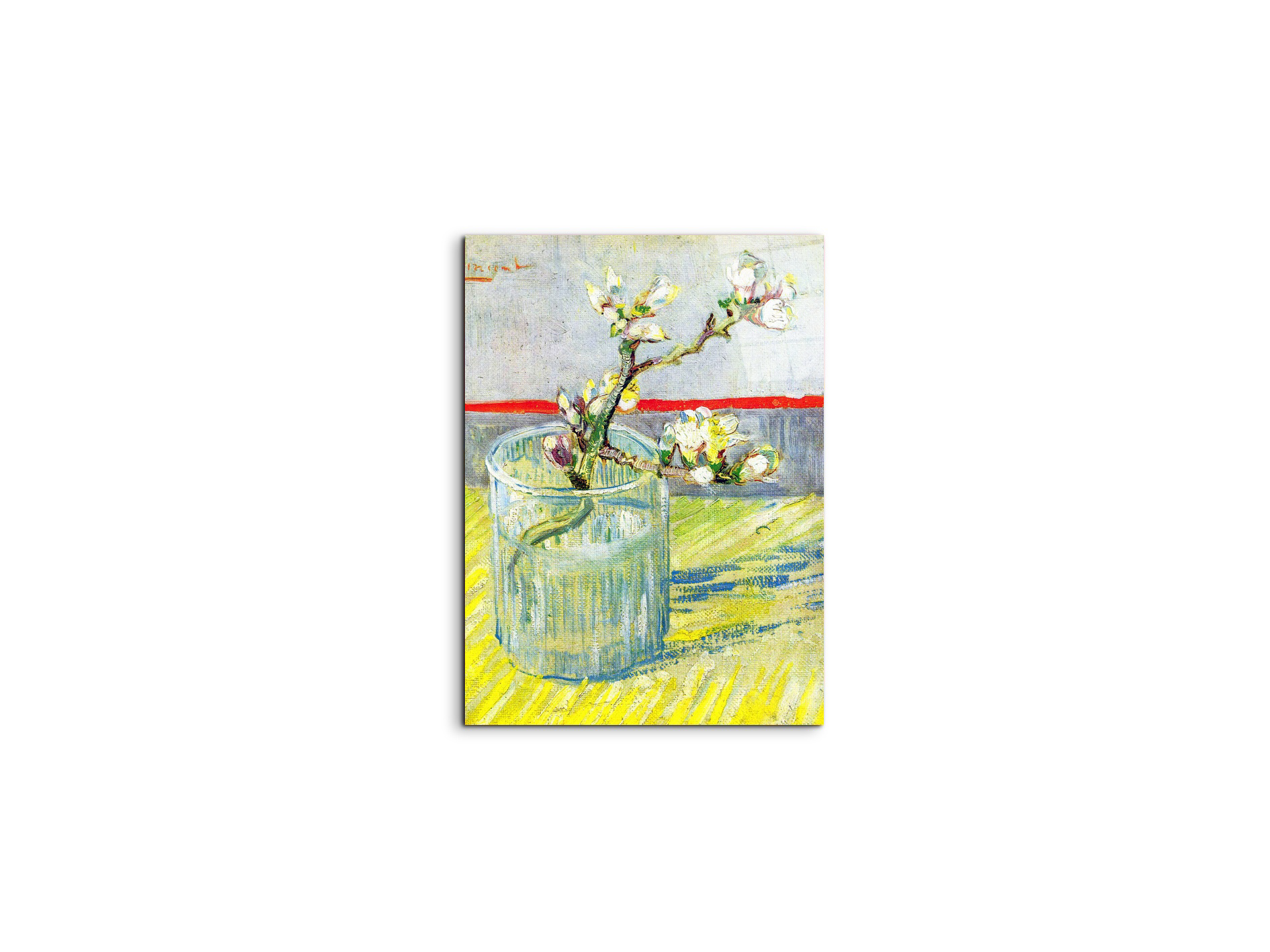 almond-blossom-branchas90547-