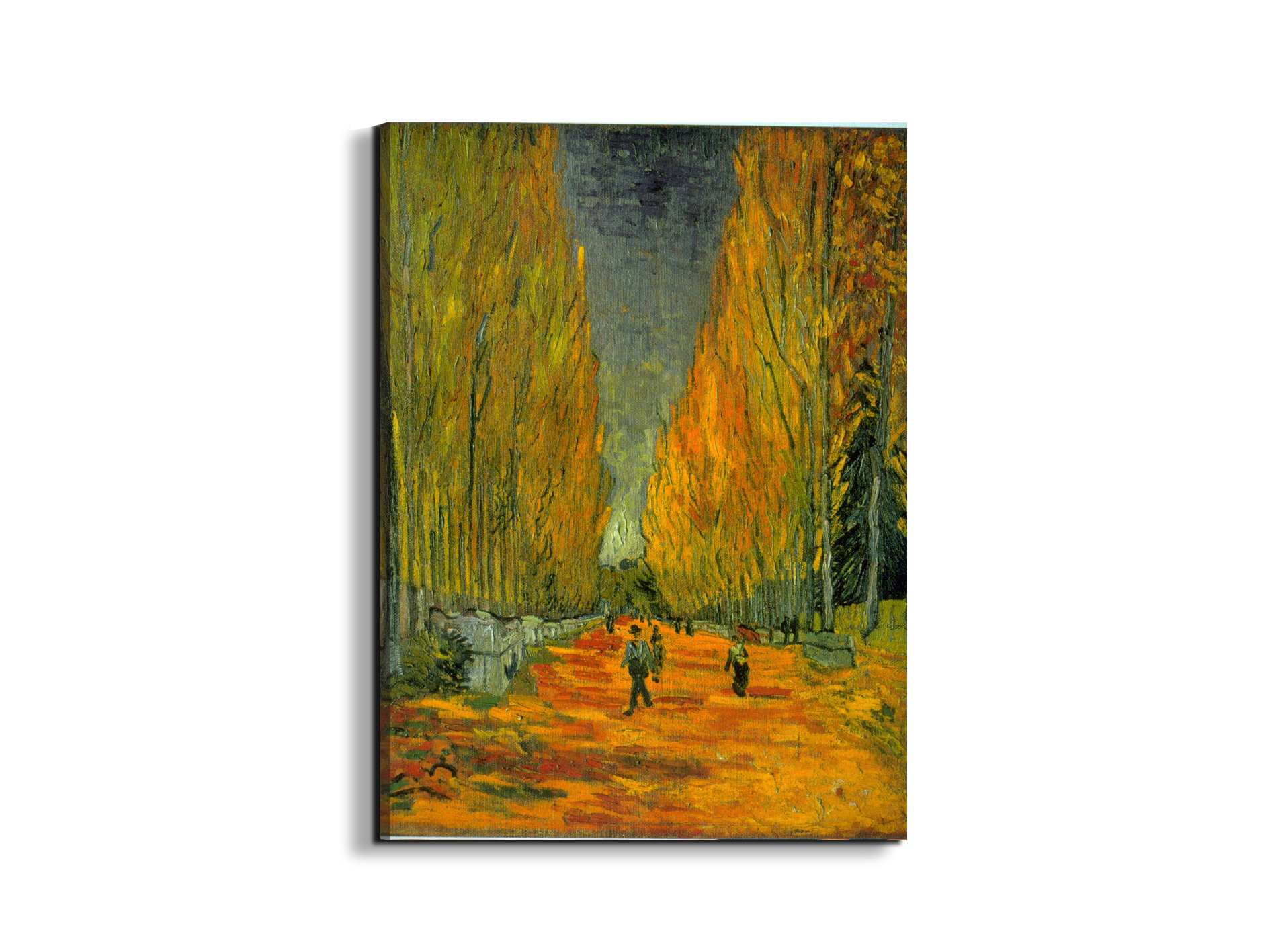 alyscampsas90549-#materiale_EarthArt/dimensioni_57x76