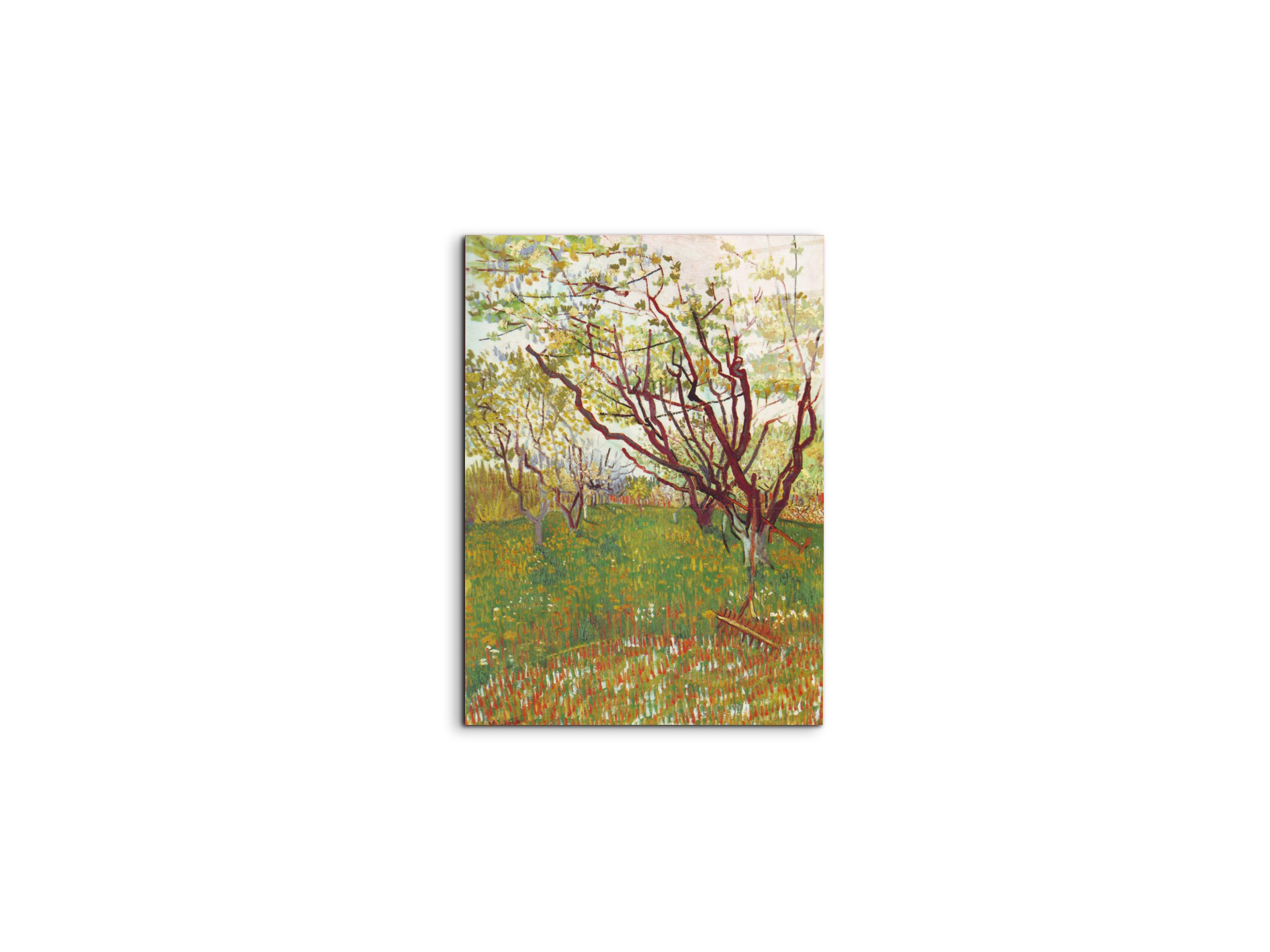 cherry-tree-by-van-goghas90605-#materiale_CrystalArt/dimensioni_37,50x50