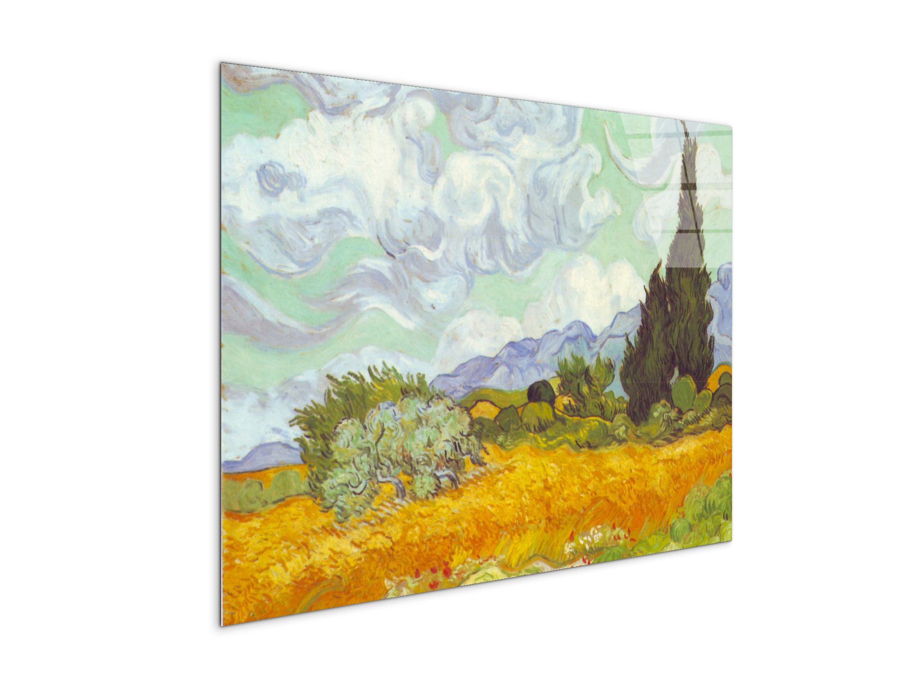 cornfield-with-cyprussesas90615-