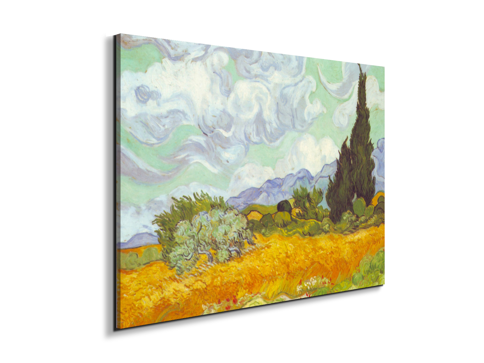 cornfield-with-cyprussesas90615-