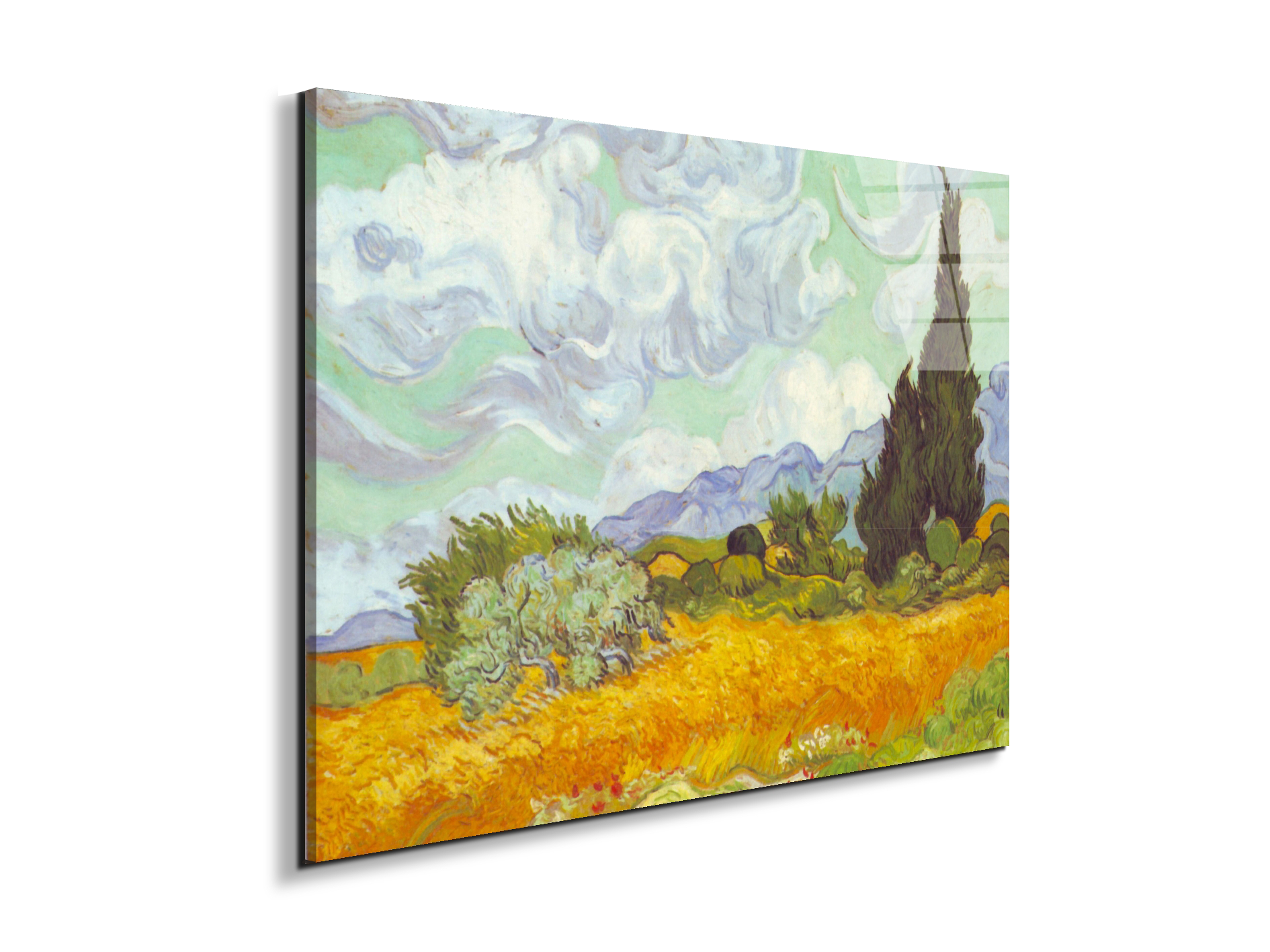 cornfield-with-cyprussesas90615-