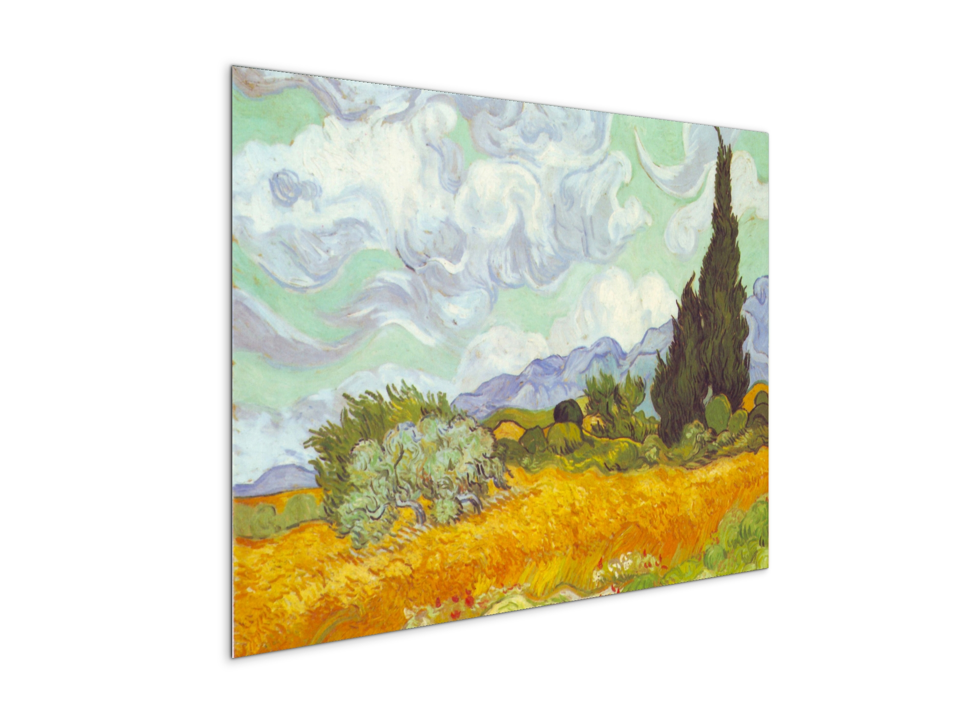 cornfield-with-cyprussesas90615-