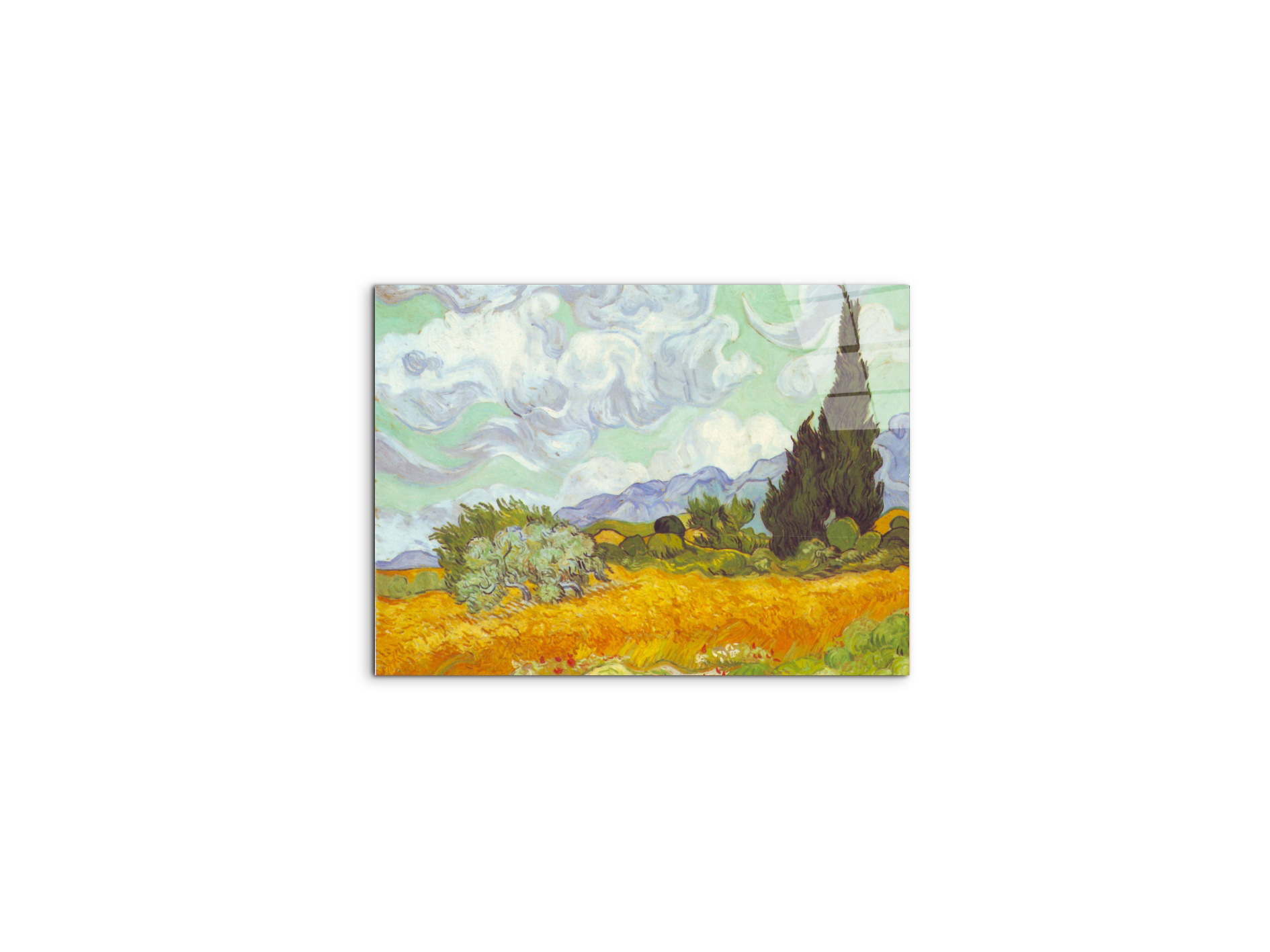 cornfield-with-cyprussesas90615-