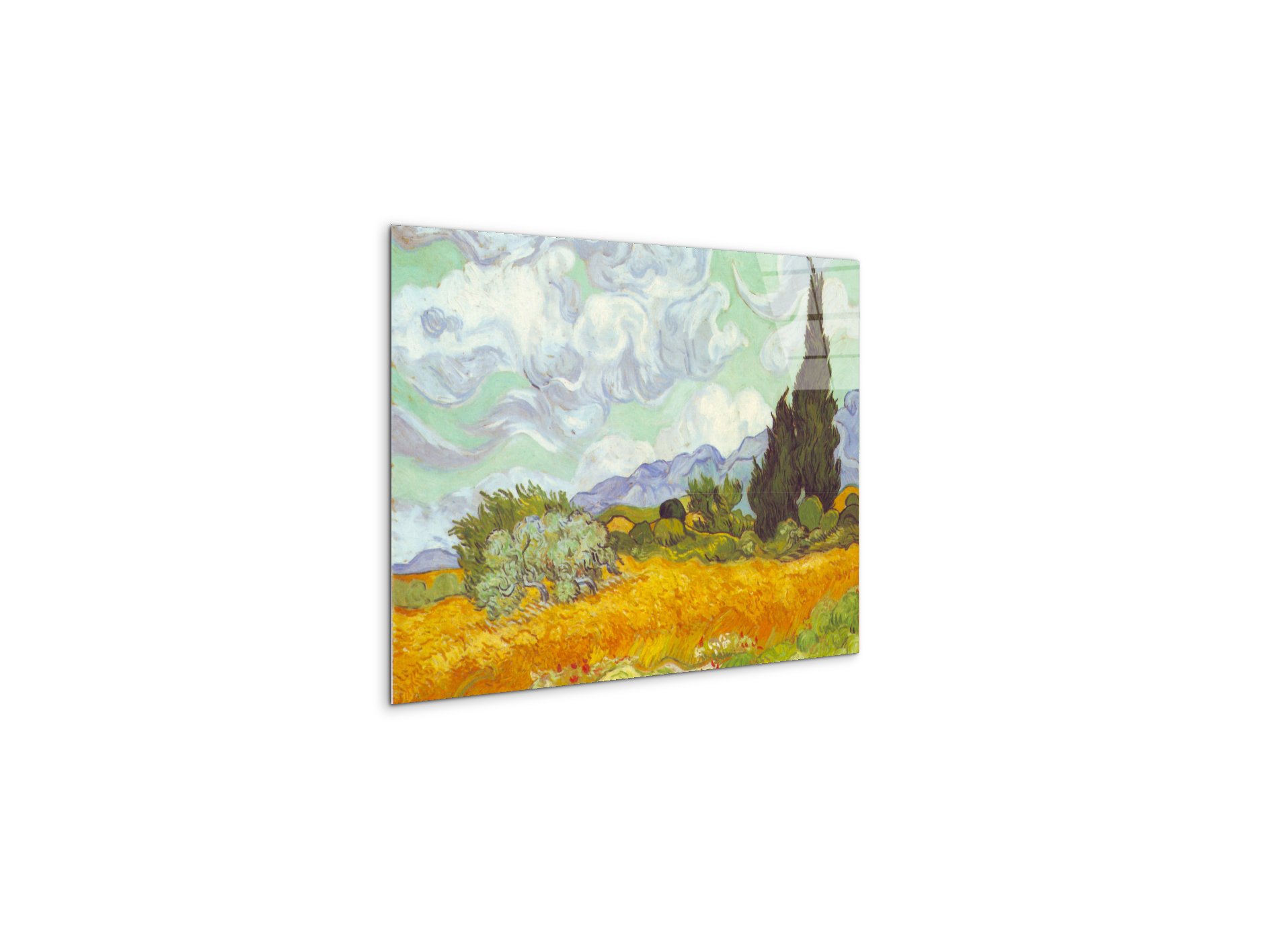 cornfield-with-cyprussesas90615-