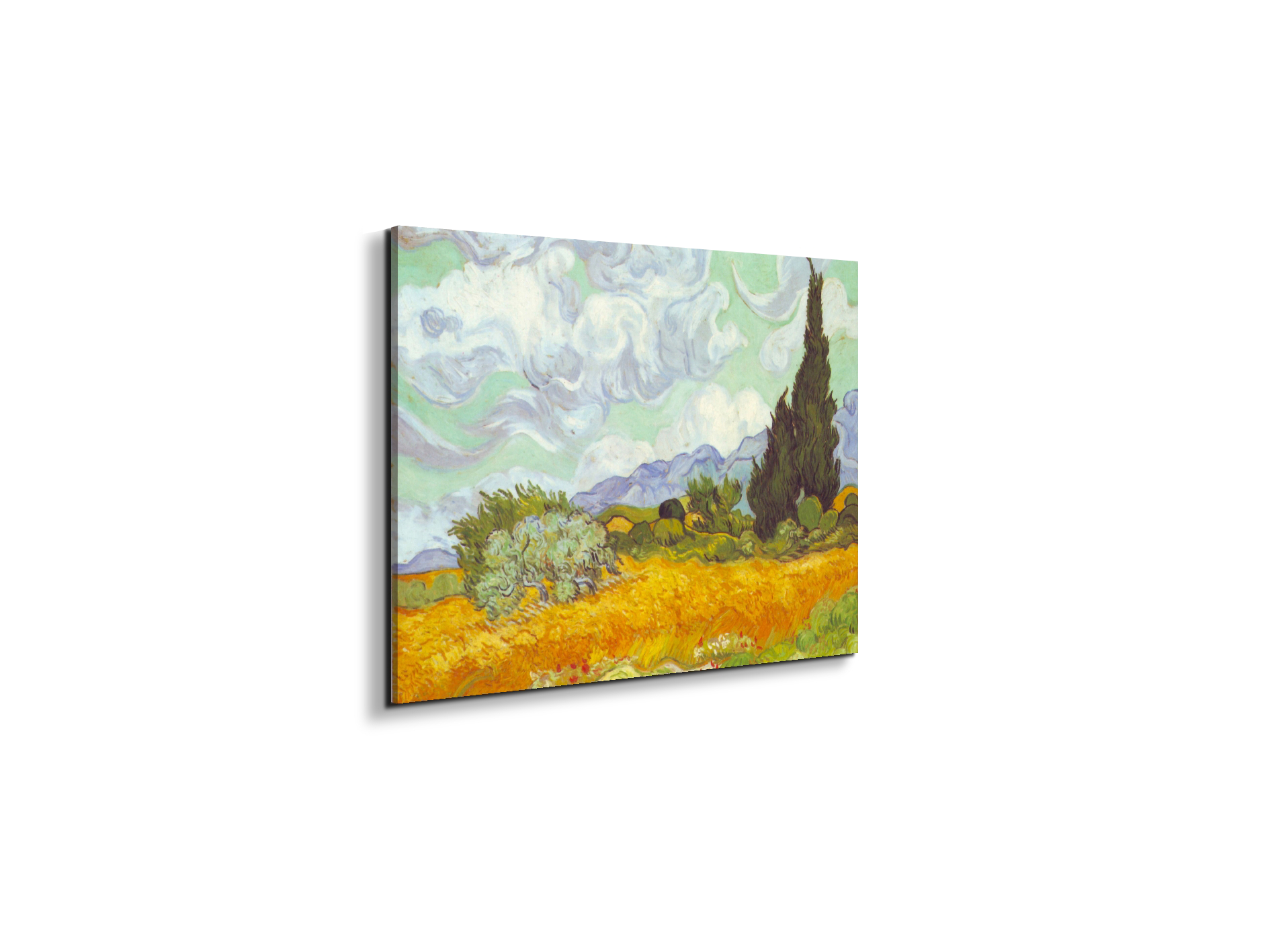 cornfield-with-cyprussesas90615-