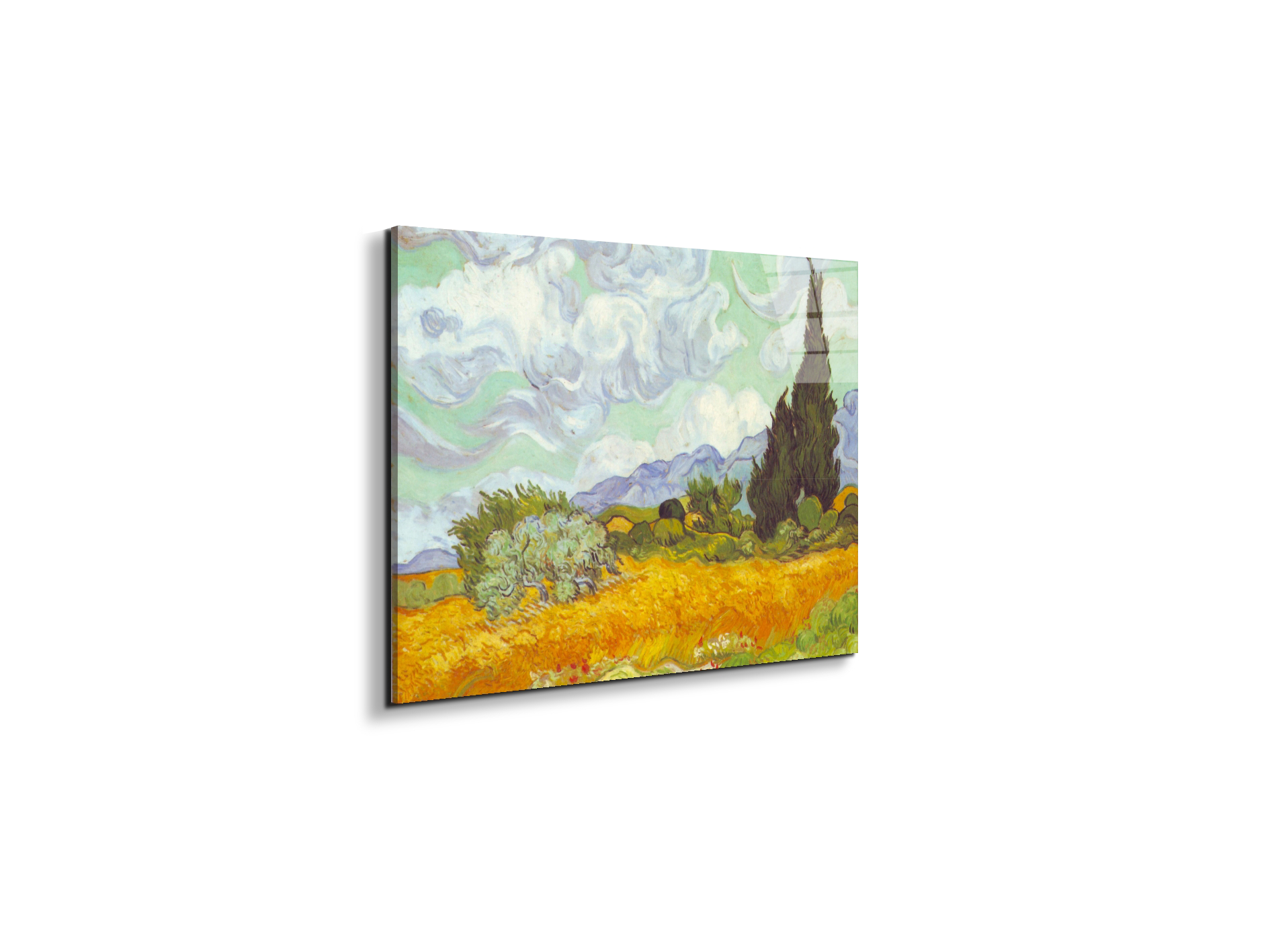 cornfield-with-cyprussesas90615-