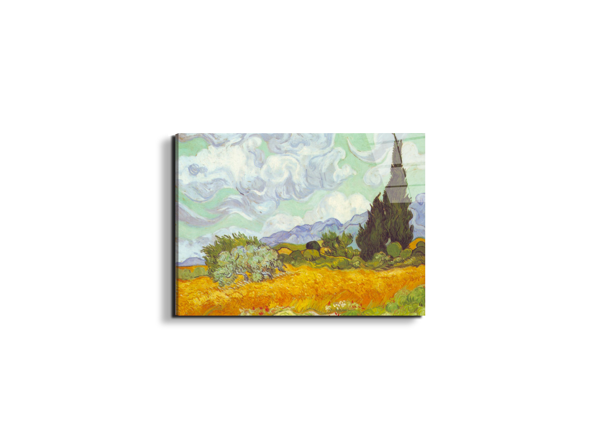 cornfield-with-cyprussesas90615-
