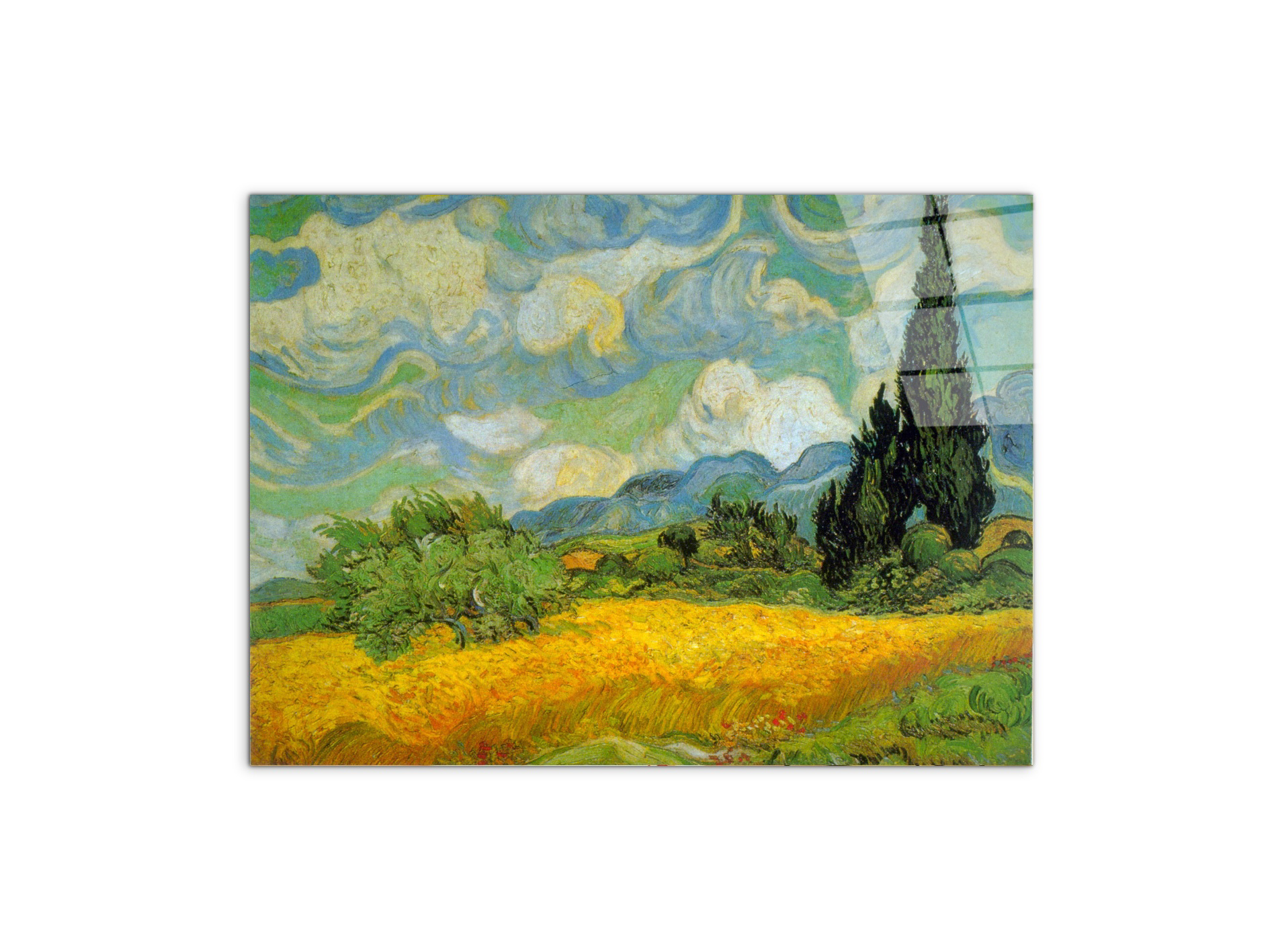 cypressesas90629-