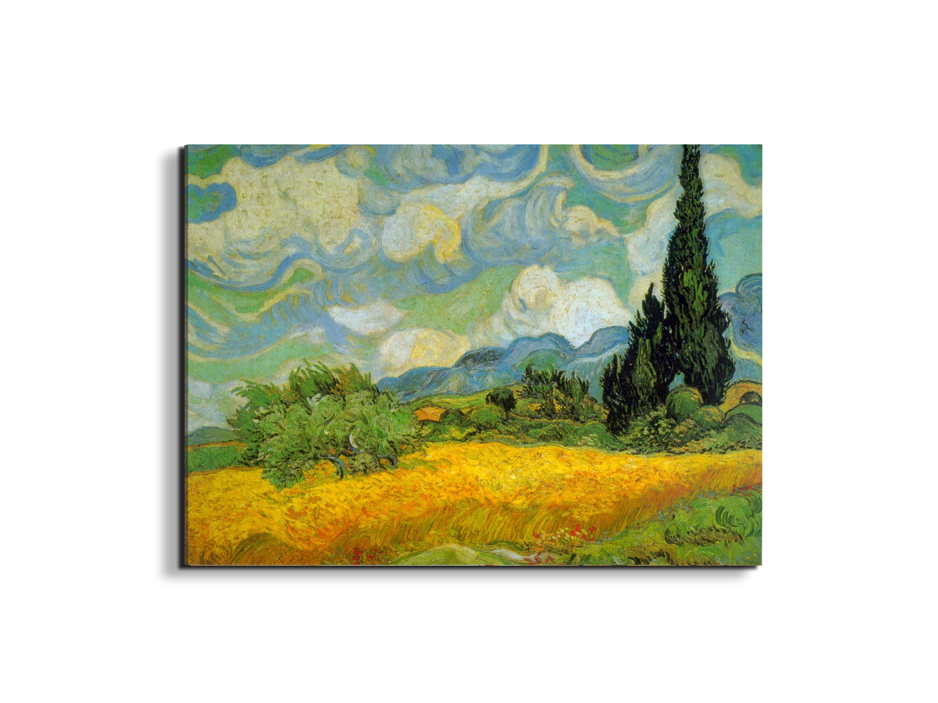 cypressesas90629-