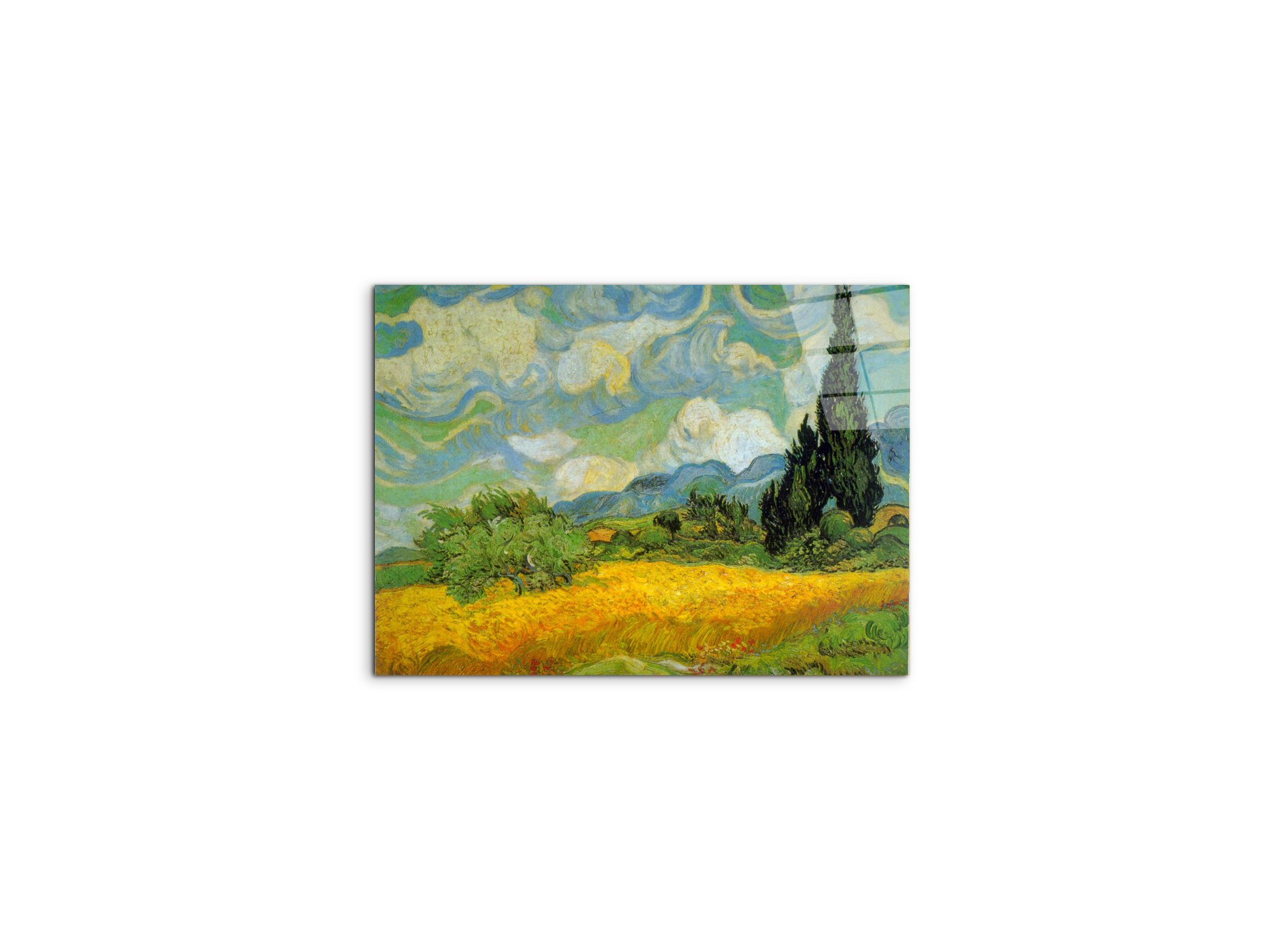 cypressesas90629-