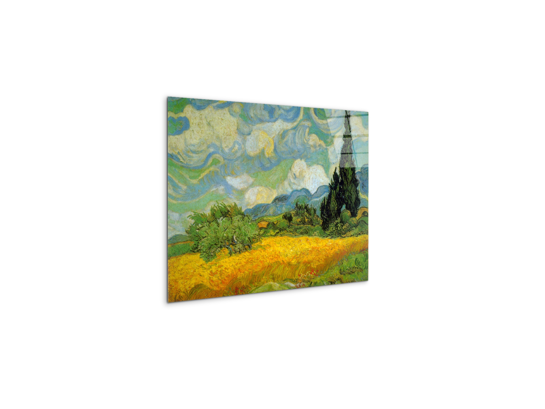 cypressesas90629-