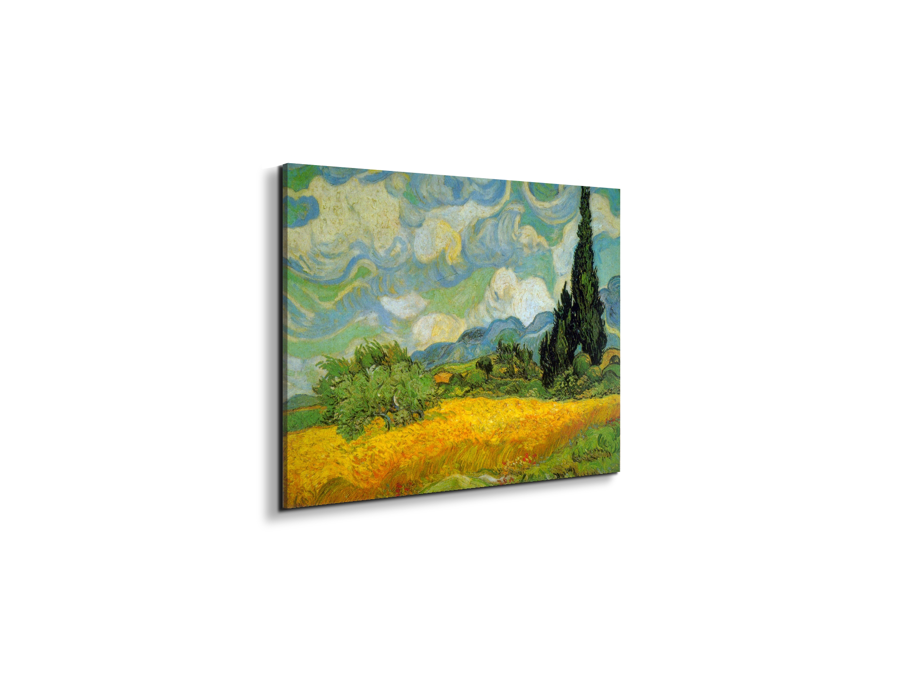 cypressesas90629-