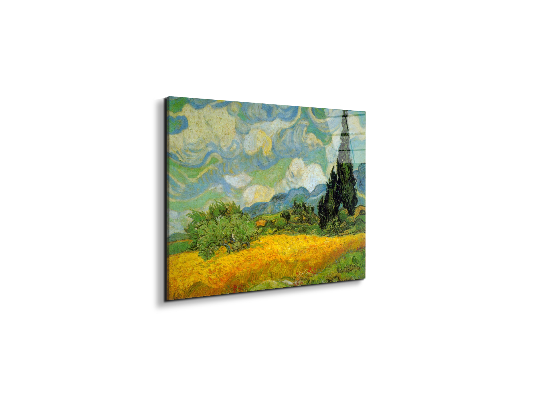 cypressesas90629-