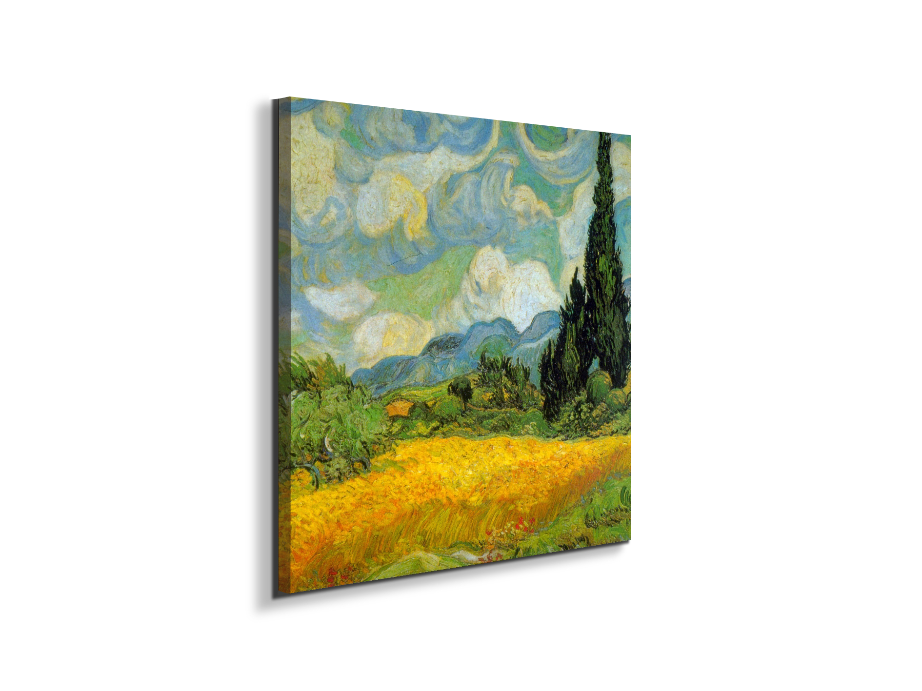 cypressesas90631-1-