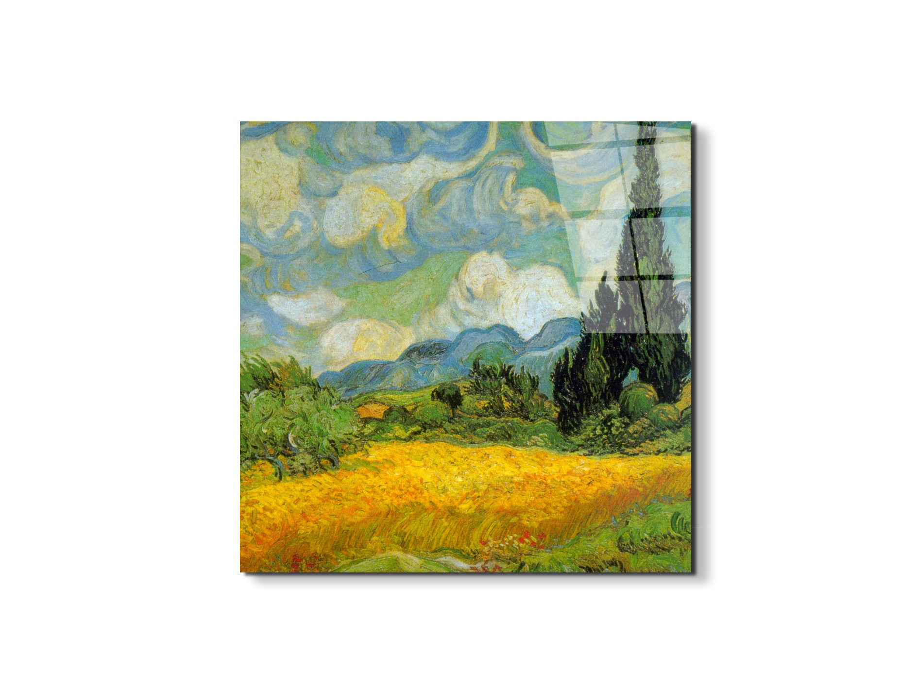 cypressesas90631-1-