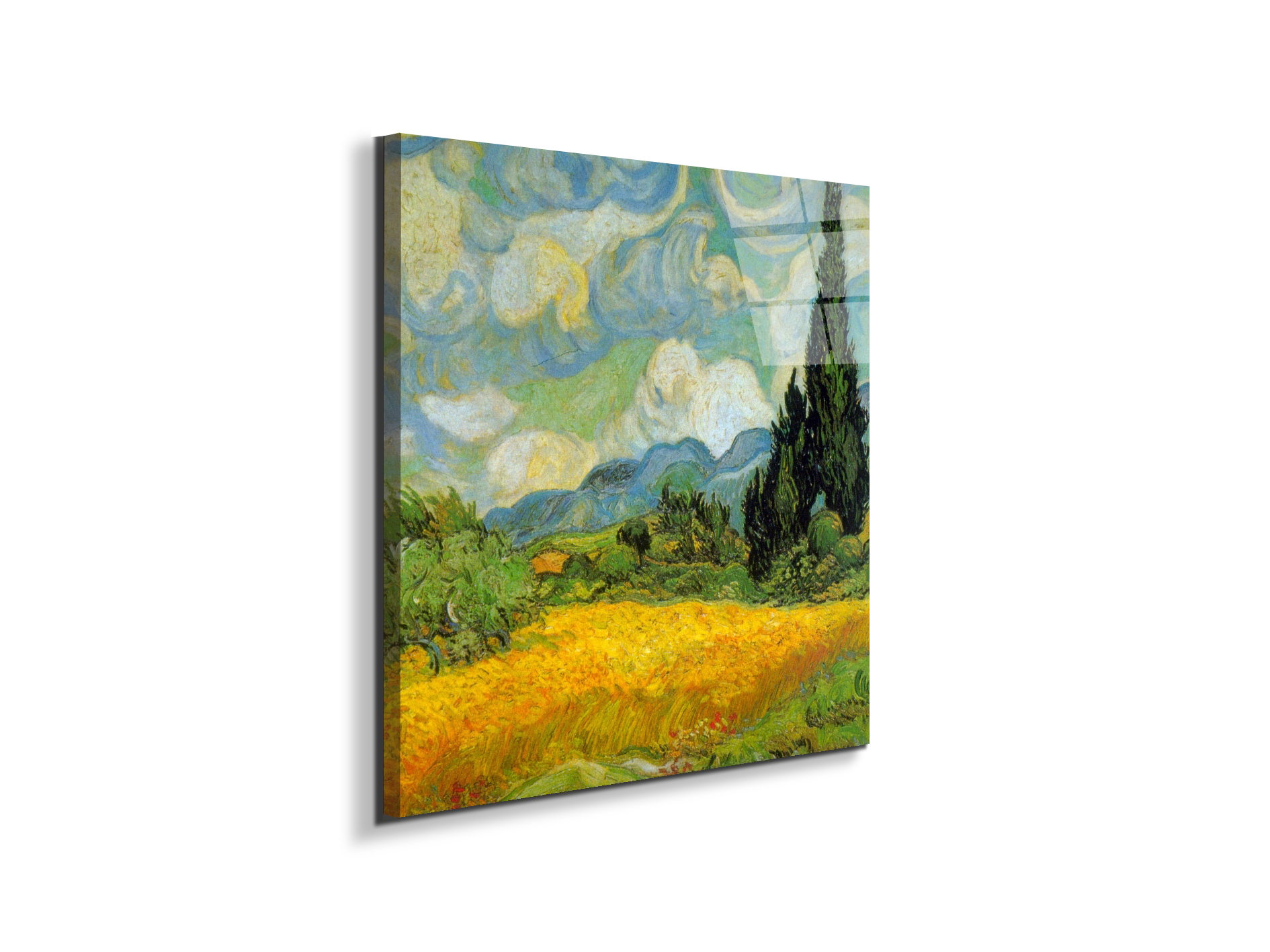 cypressesas90631-1-