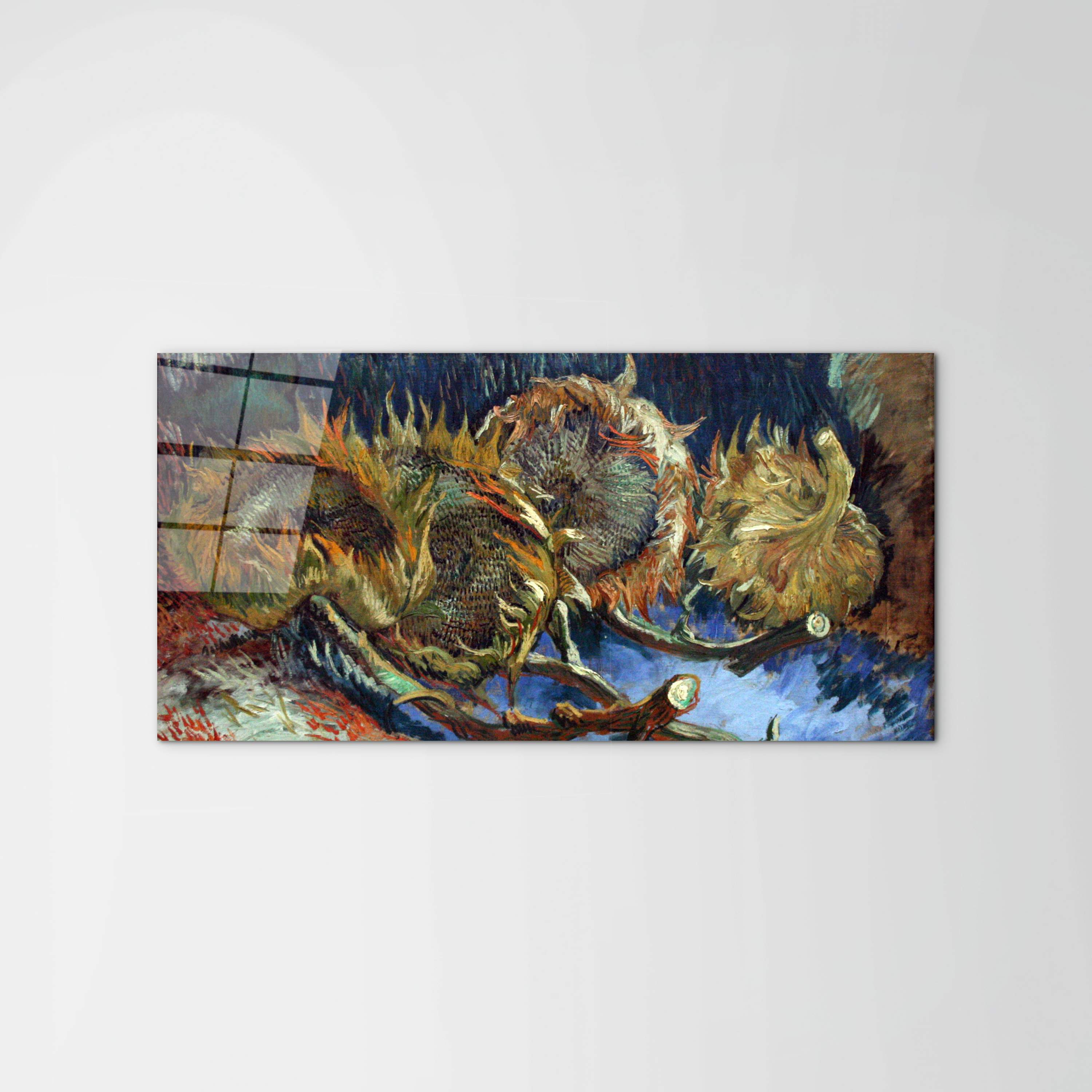 four-sunflowes-gone-to-seedas90671-