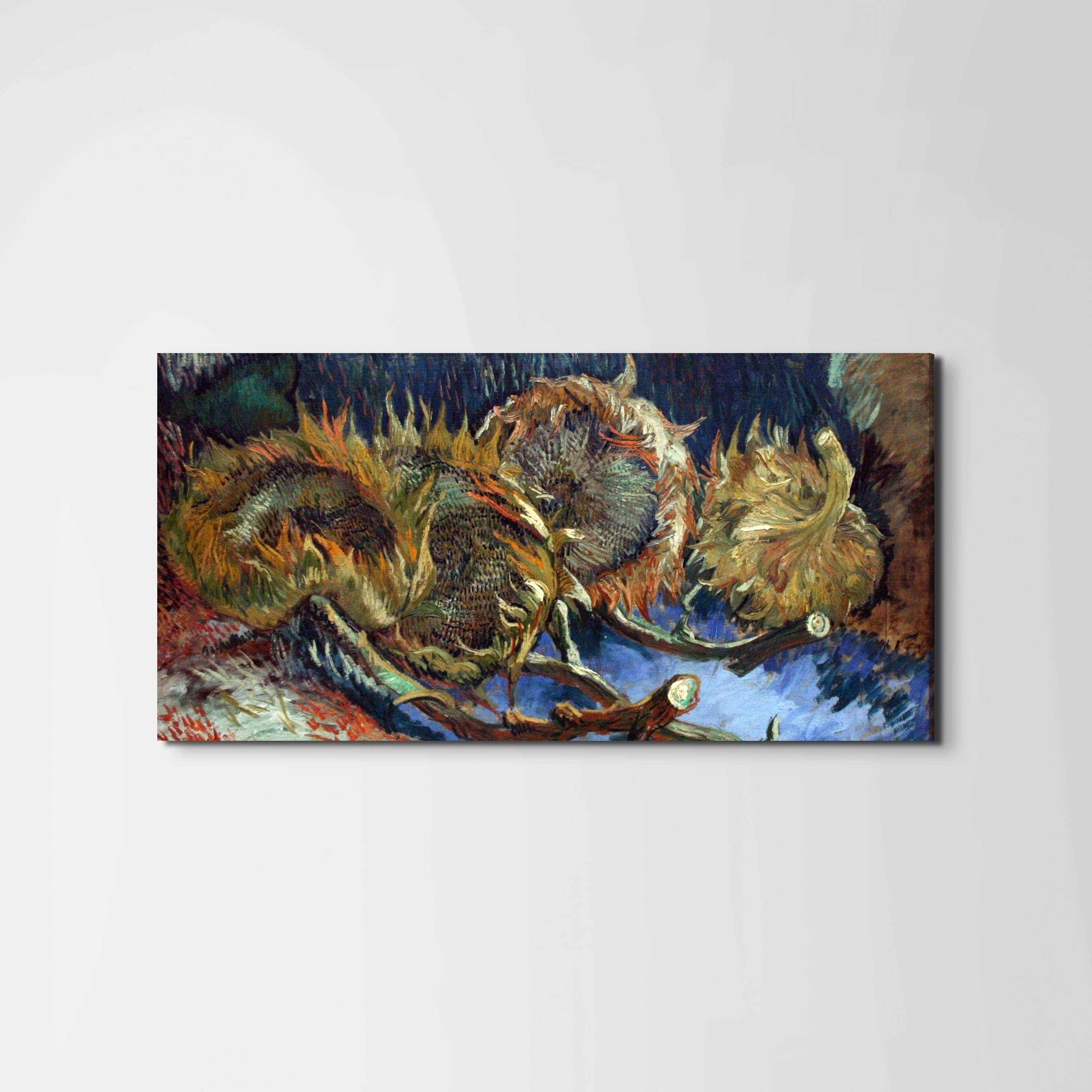 four-sunflowes-gone-to-seedas90671-