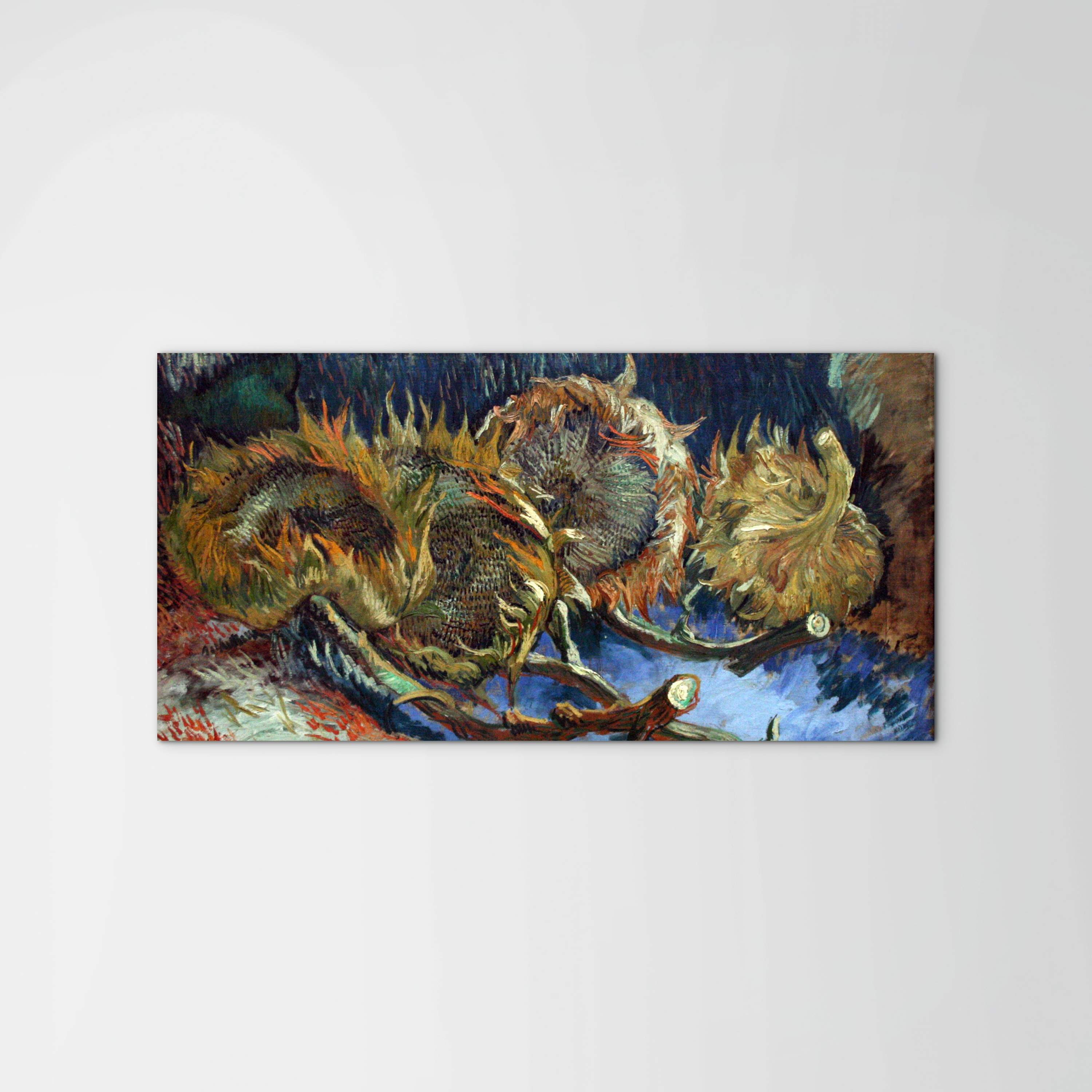 four-sunflowes-gone-to-seedas90671-
