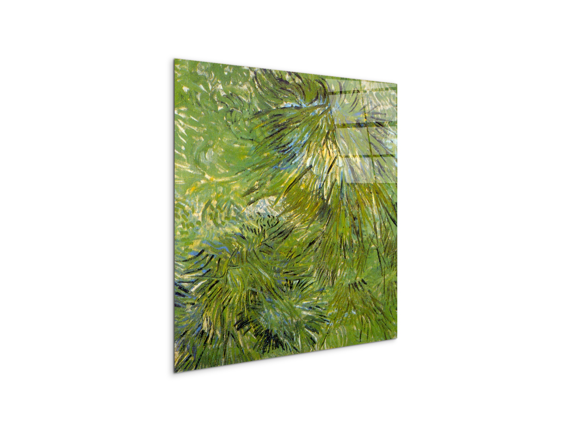 grassas90689-