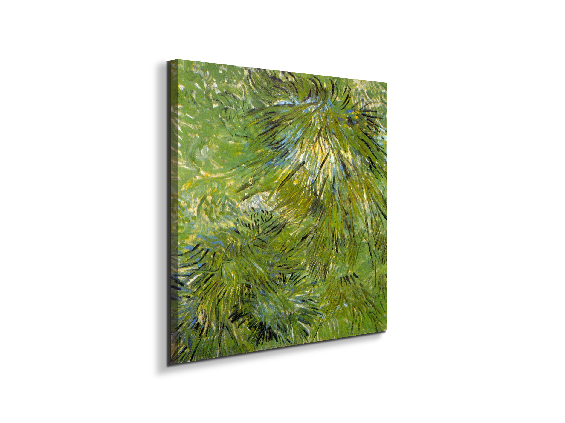 grassas90689-