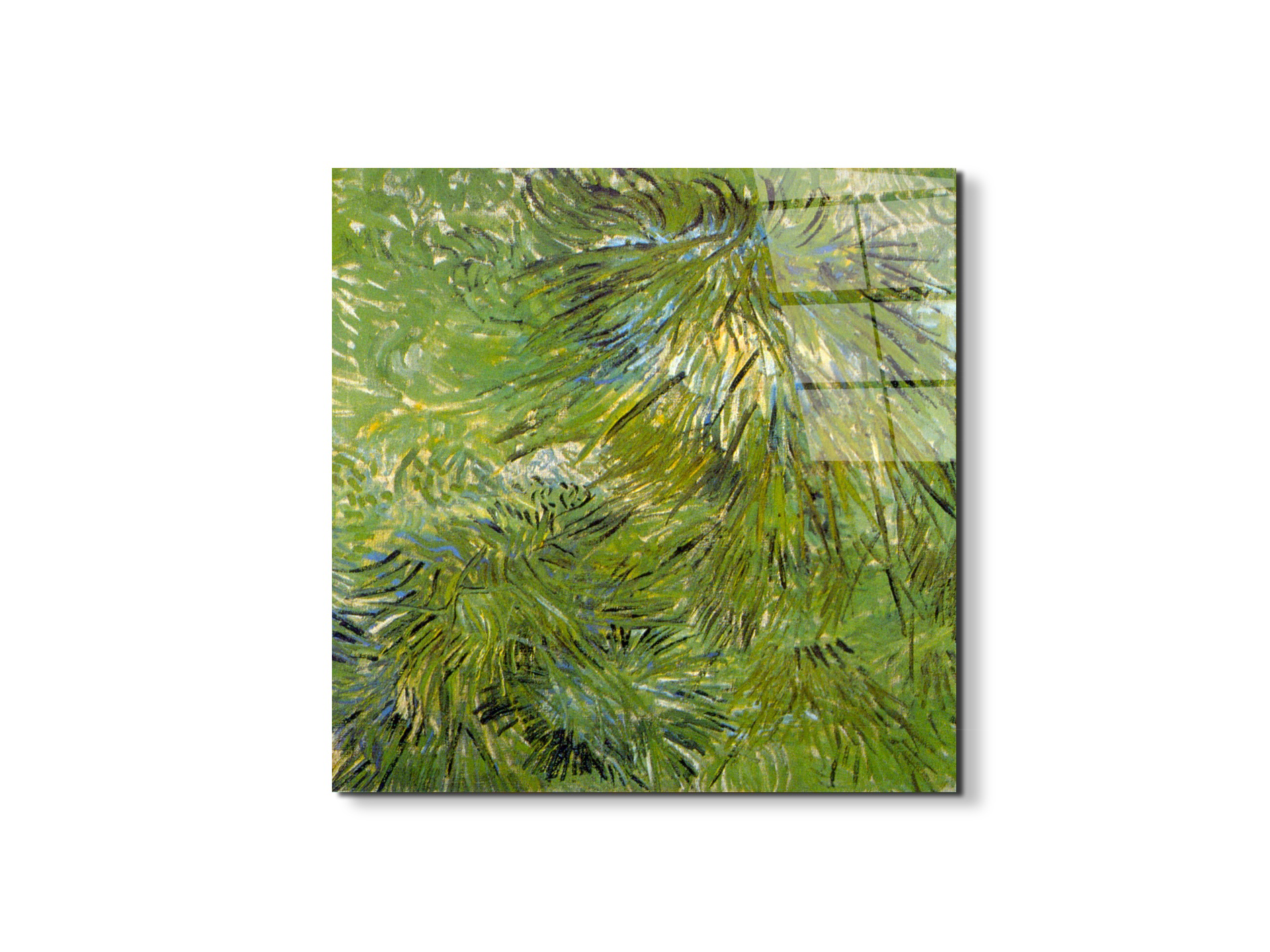 grassas90689-
