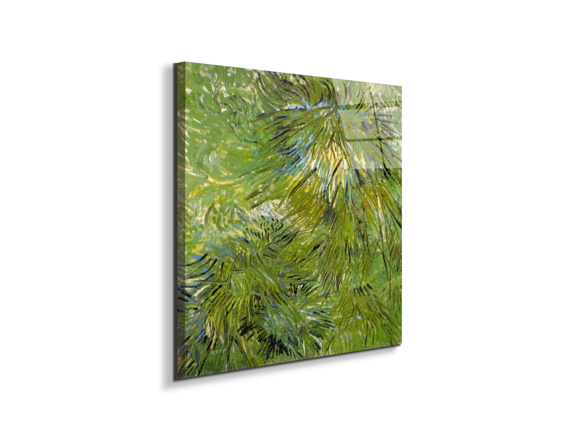 grassas90689-
