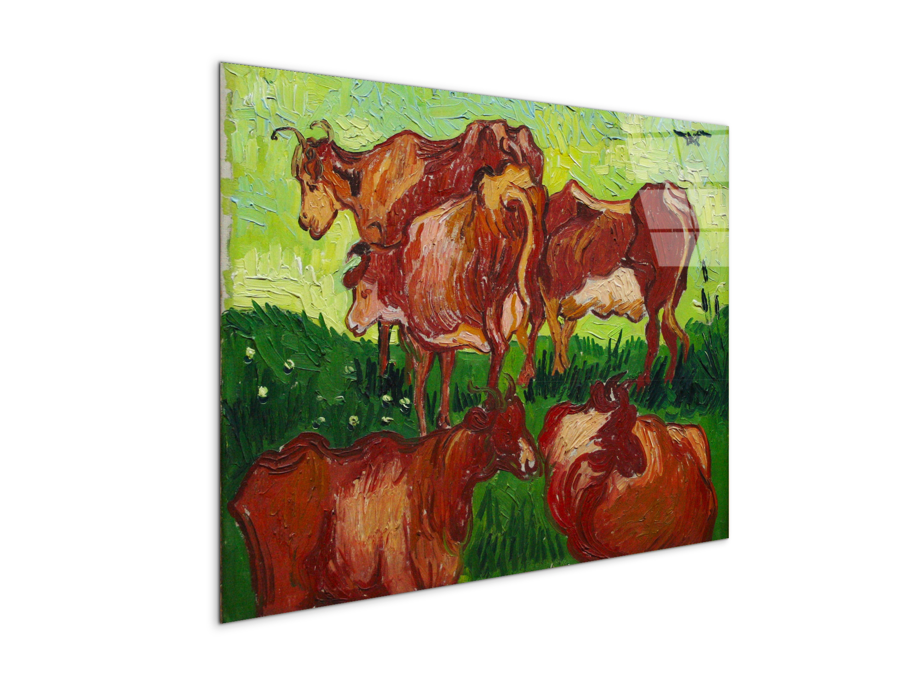 les-vachesas90723-