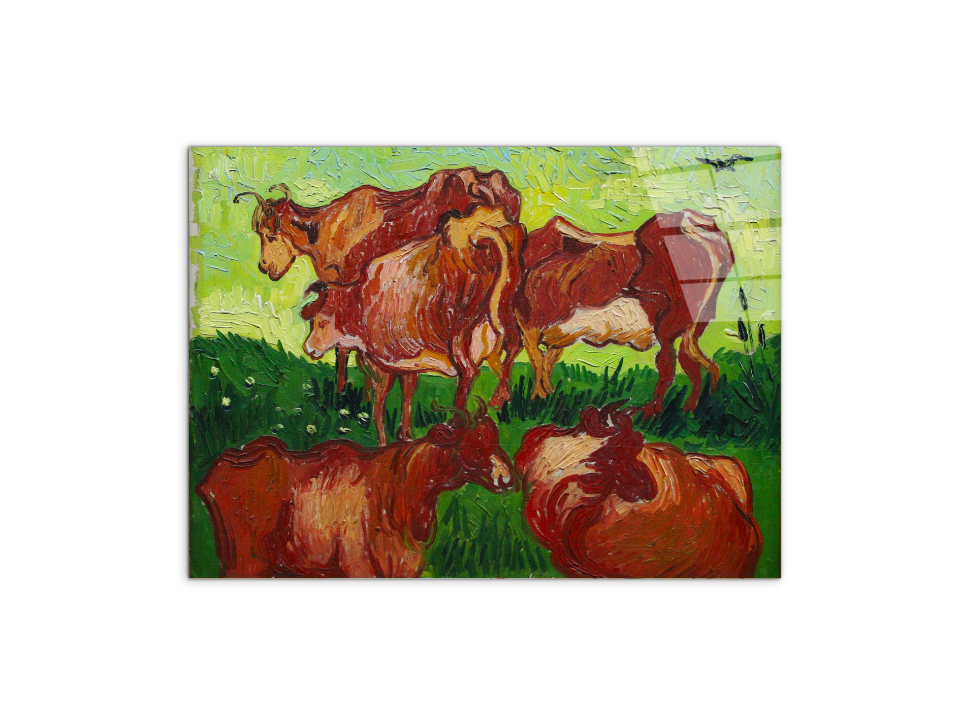 les-vachesas90723-