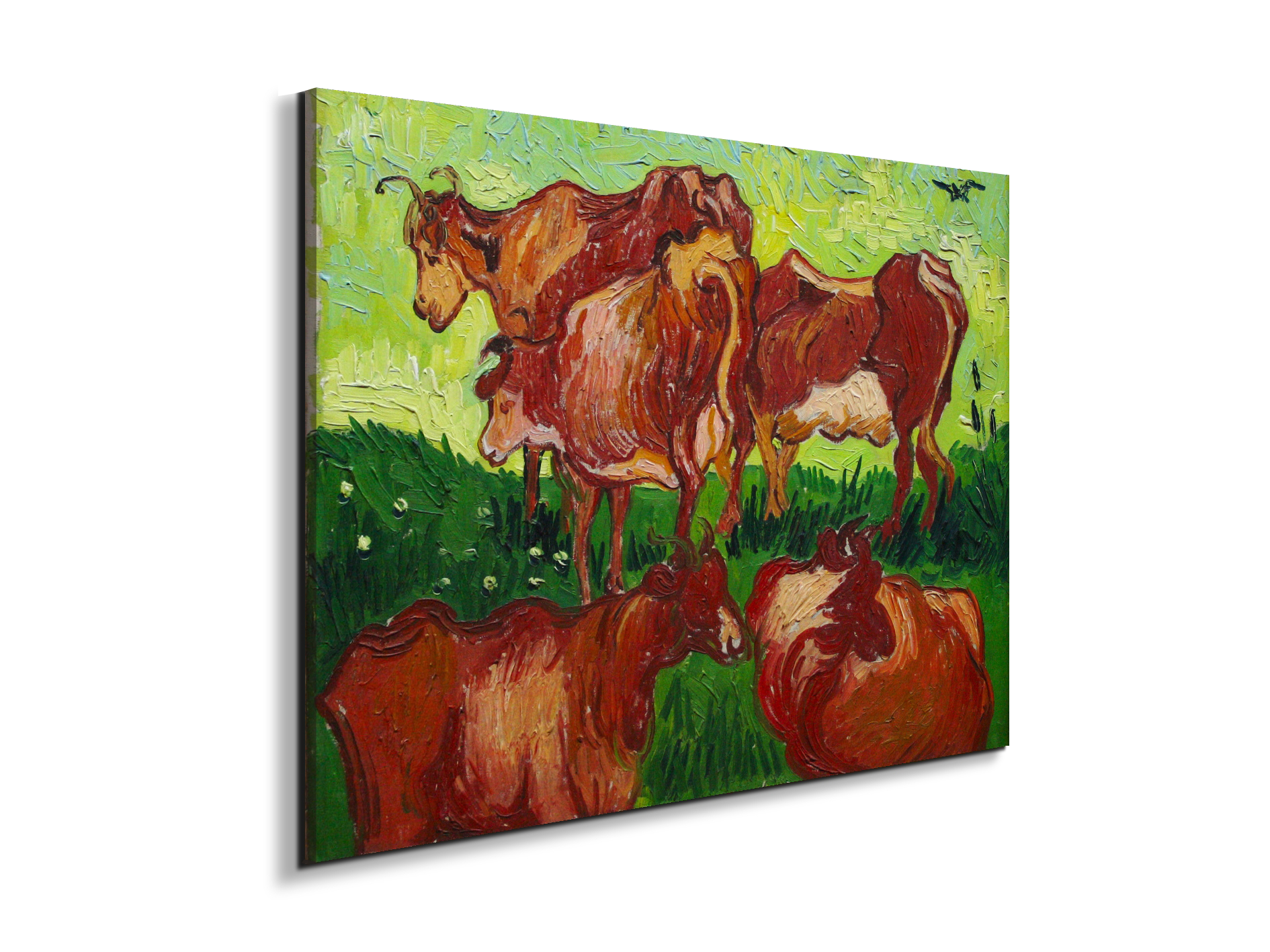 les-vachesas90723-
