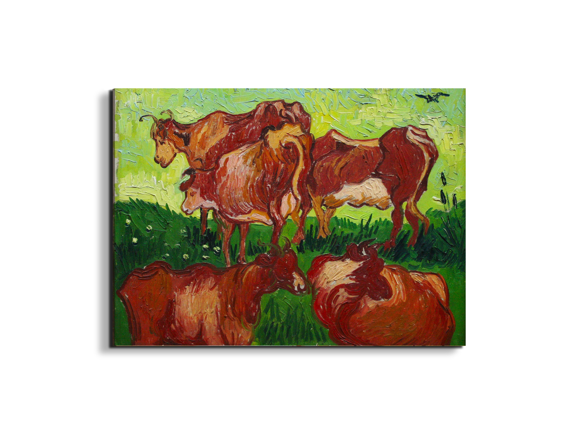les-vachesas90723-