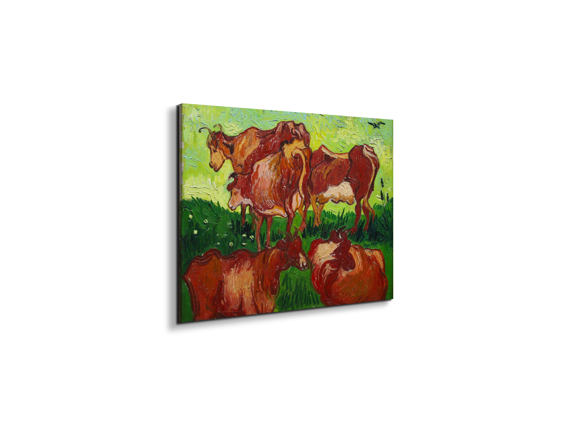 les-vachesas90723-