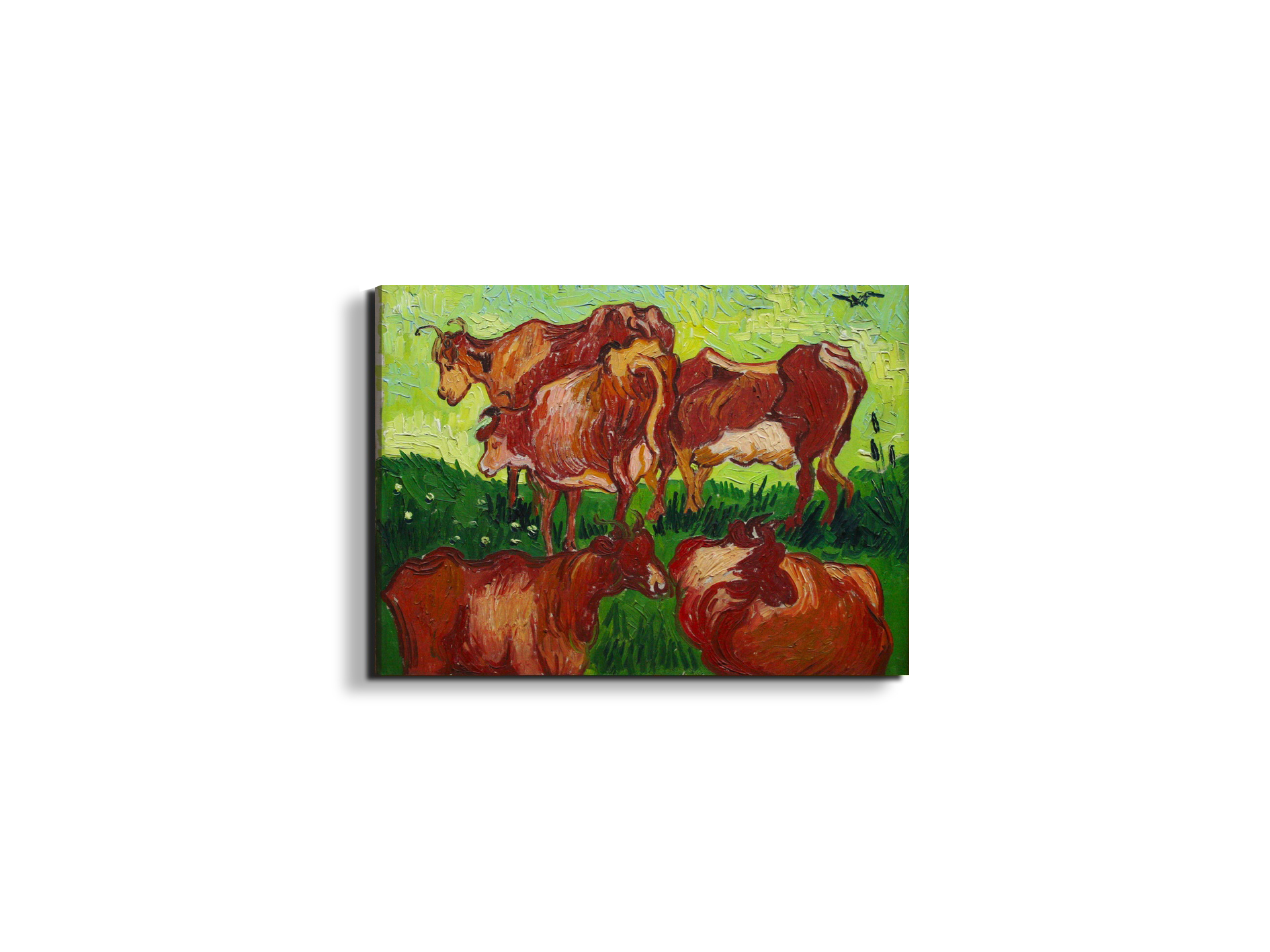 les-vachesas90723-