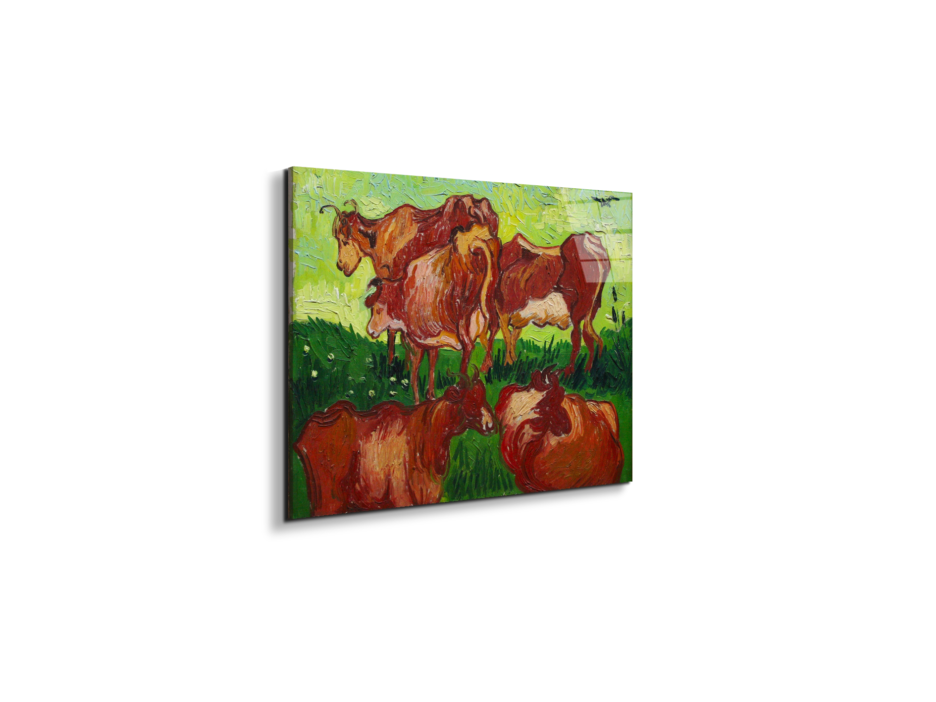 les-vachesas90723-