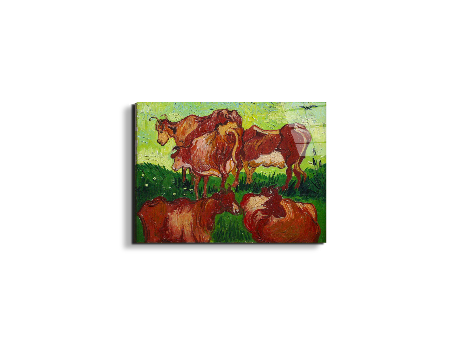 les-vachesas90723-