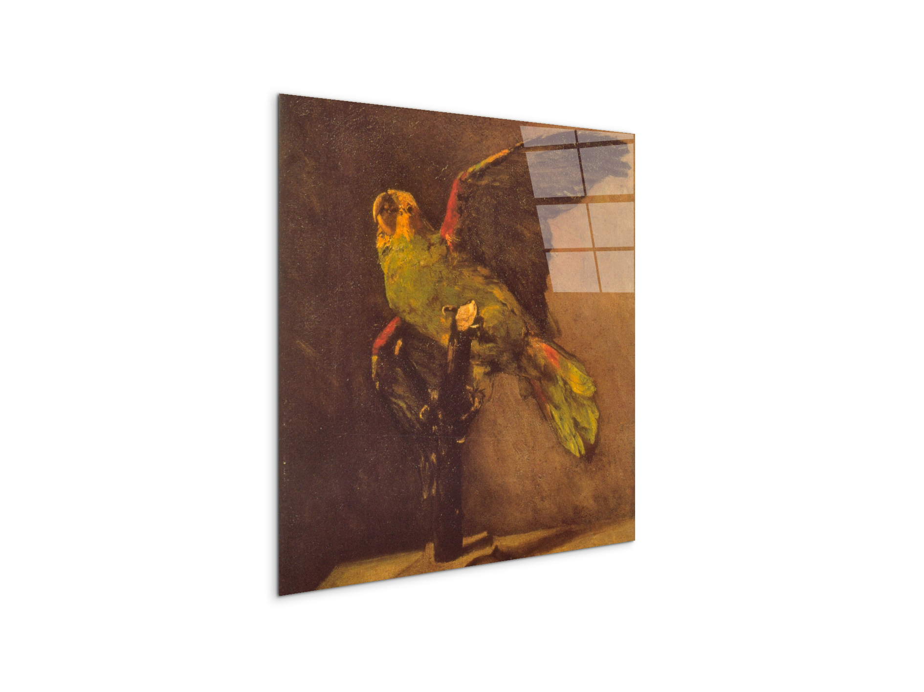 parrotas90769-1-