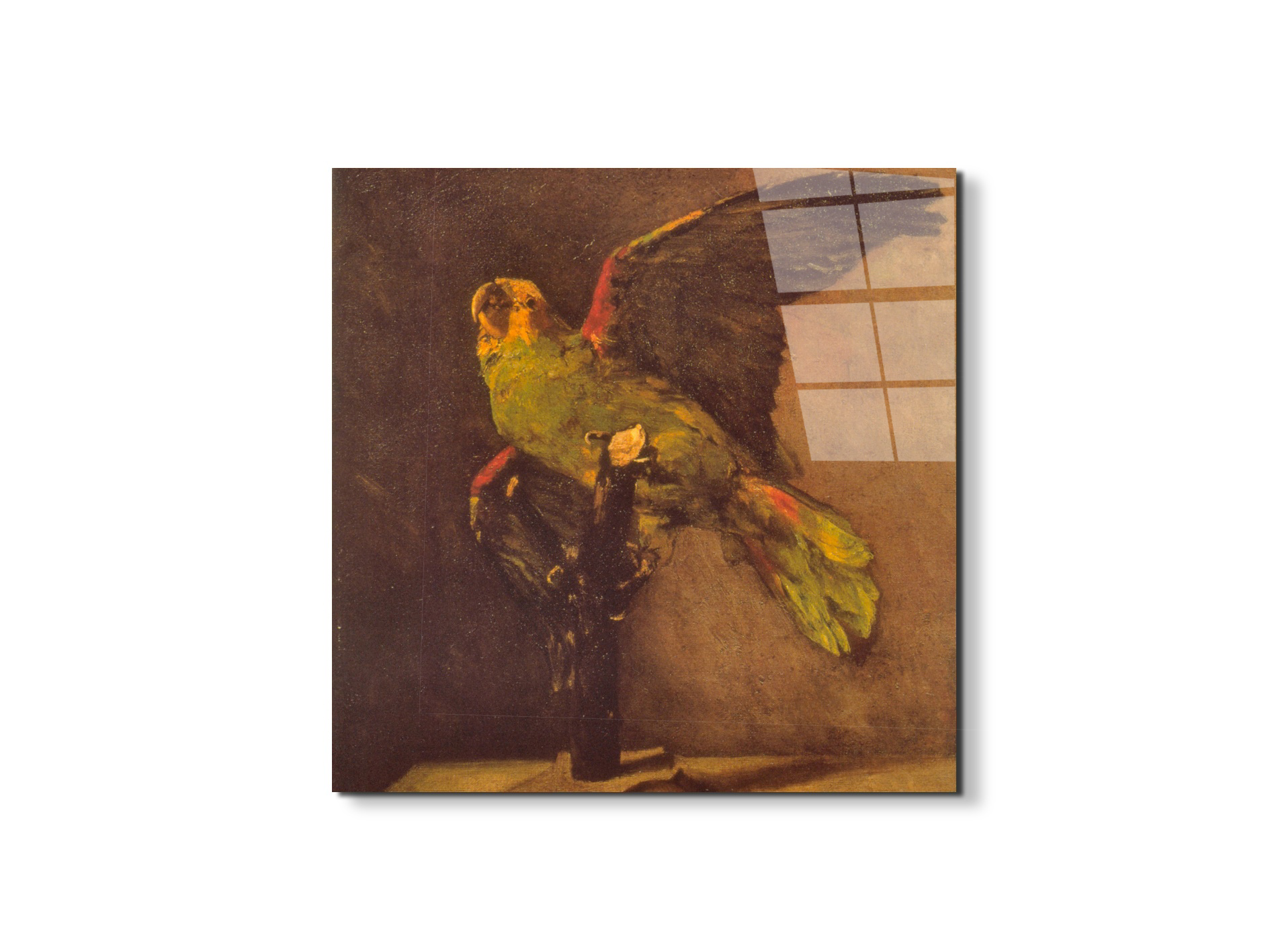 parrotas90769-1-