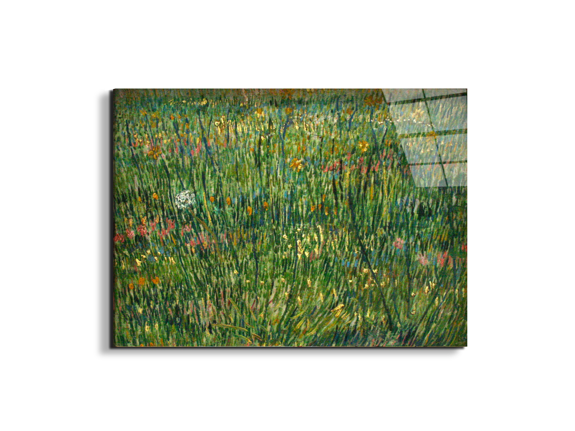 patch-of-grassas90773-