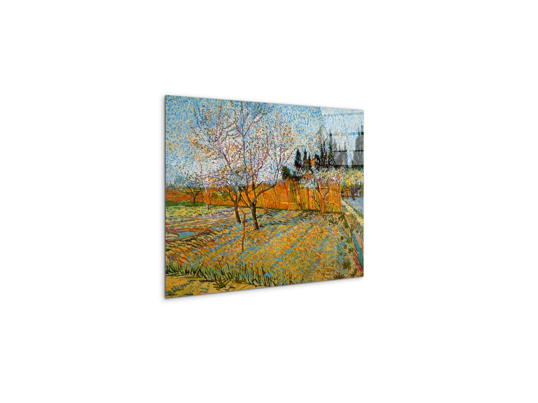 peach-treesas90781-