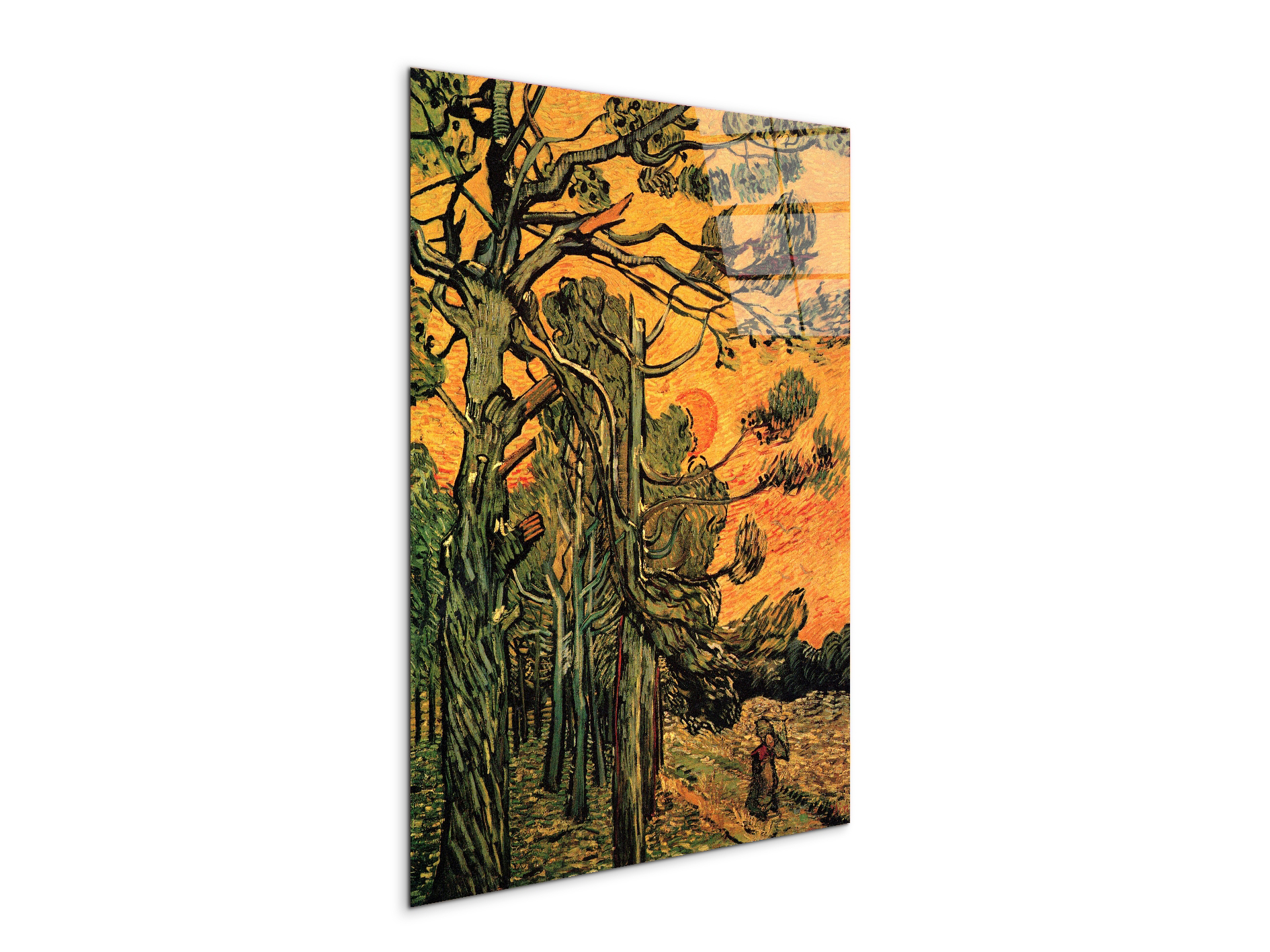 pine-trees-against-a-red-sky-with-setting-sunas90794-