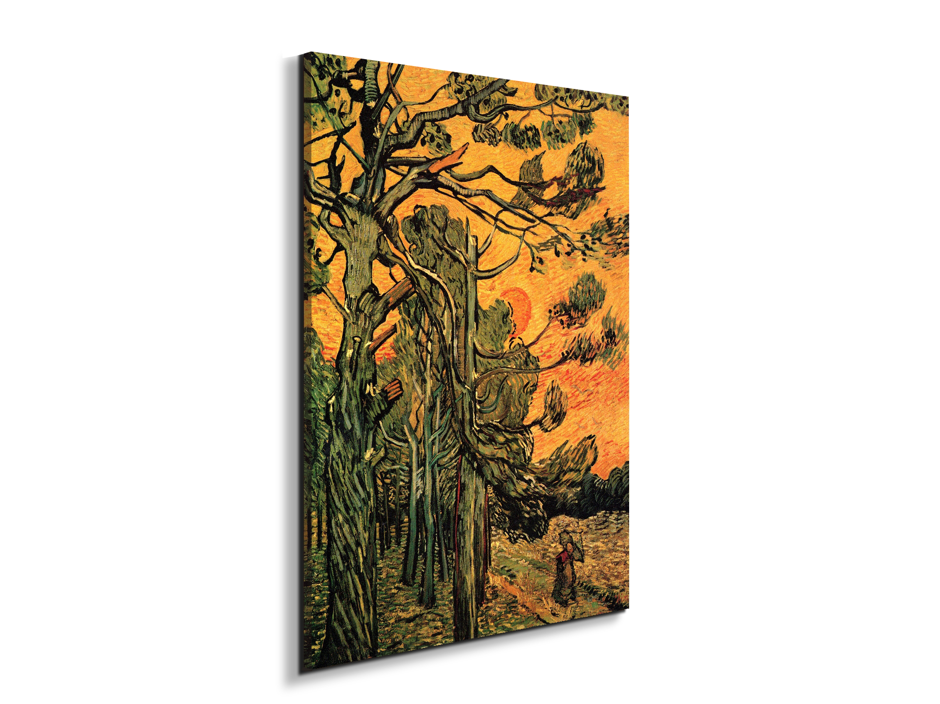 pine-trees-against-a-red-sky-with-setting-sunas90794-