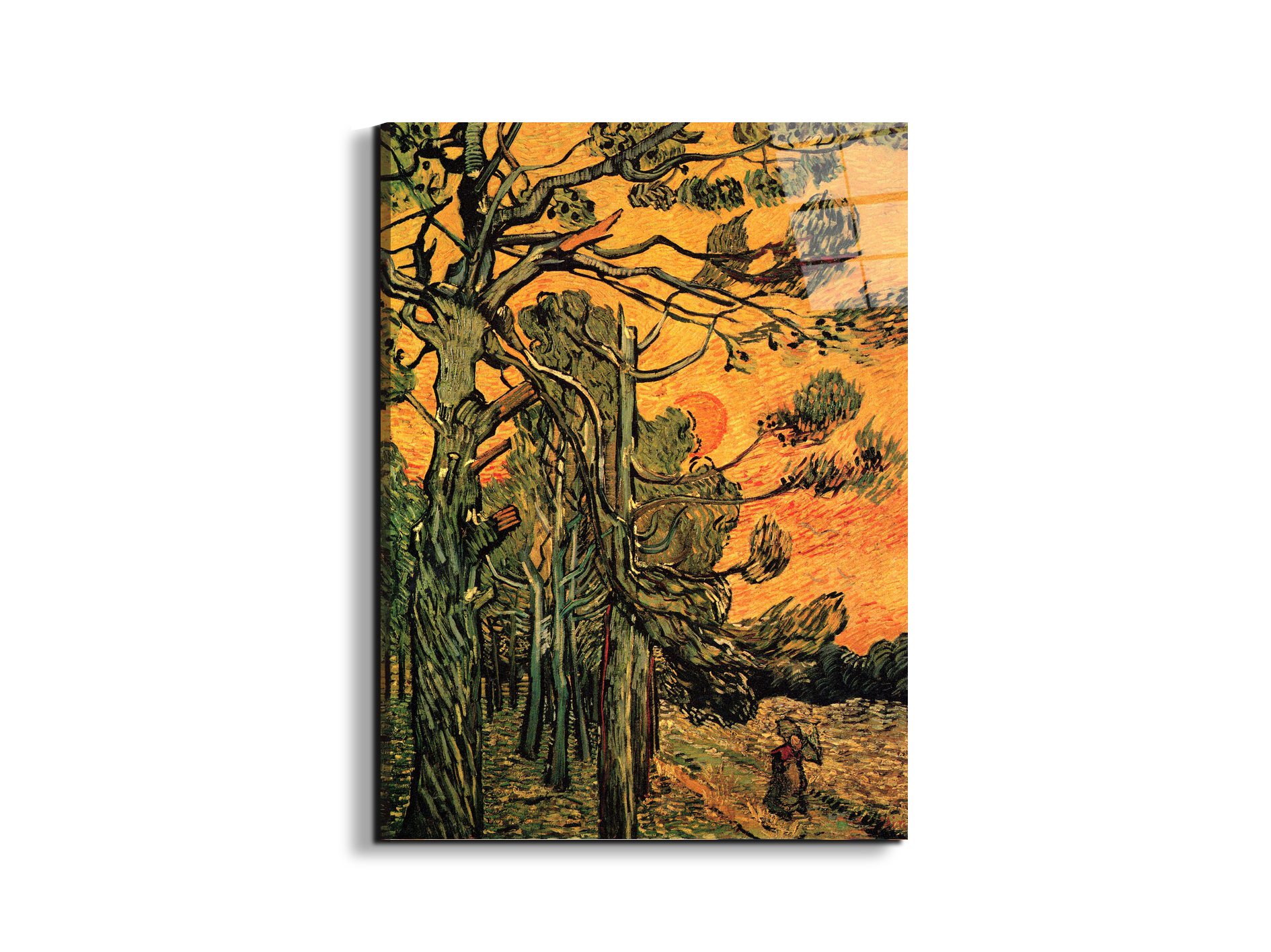 pine-trees-against-a-red-sky-with-setting-sunas90794-