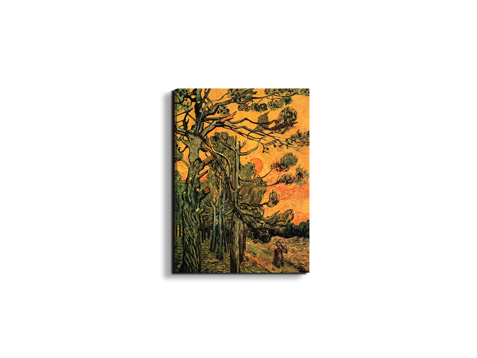 pine-trees-against-a-red-sky-with-setting-sunas90794-