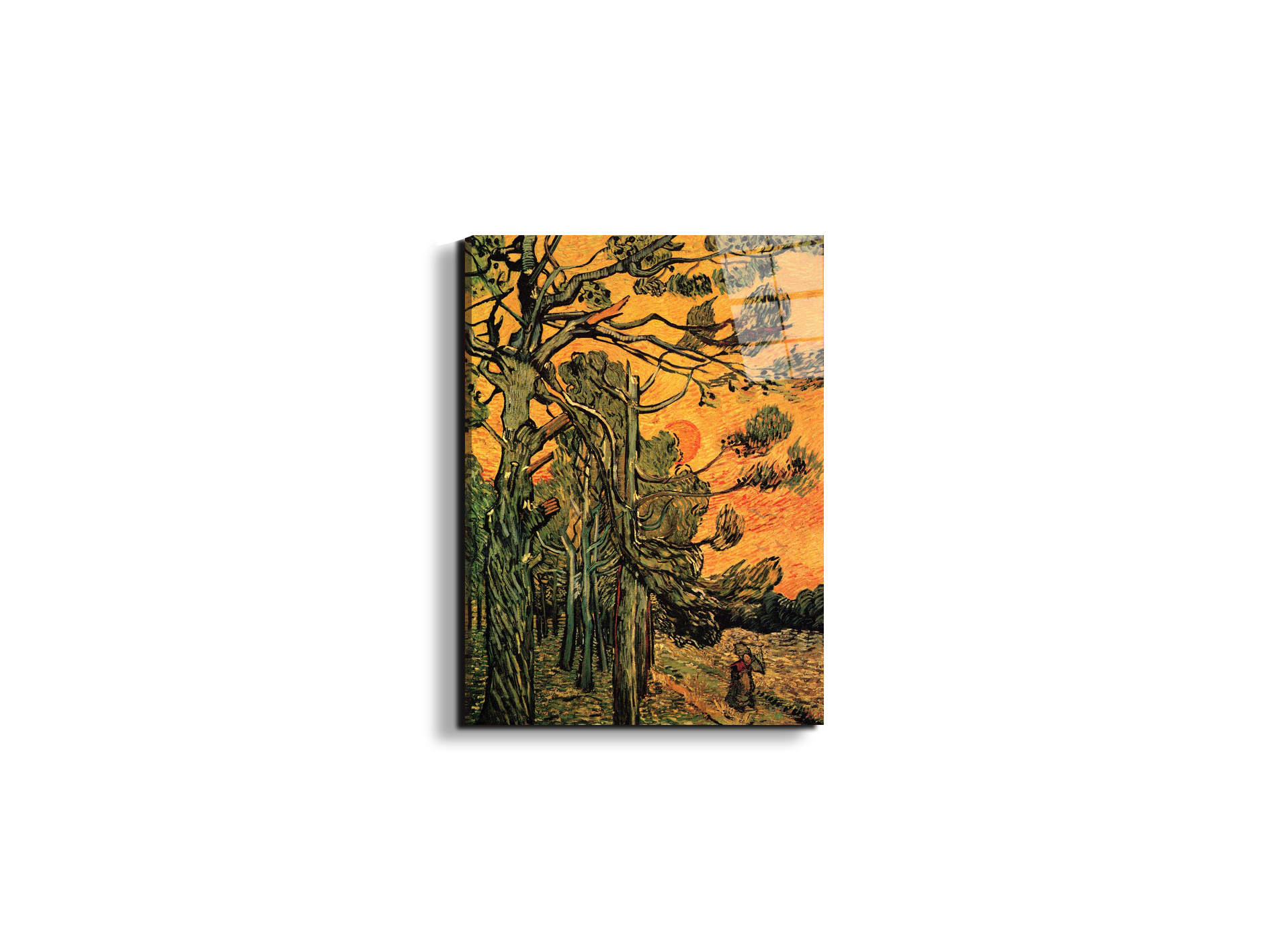 pine-trees-against-a-red-sky-with-setting-sunas90794-
