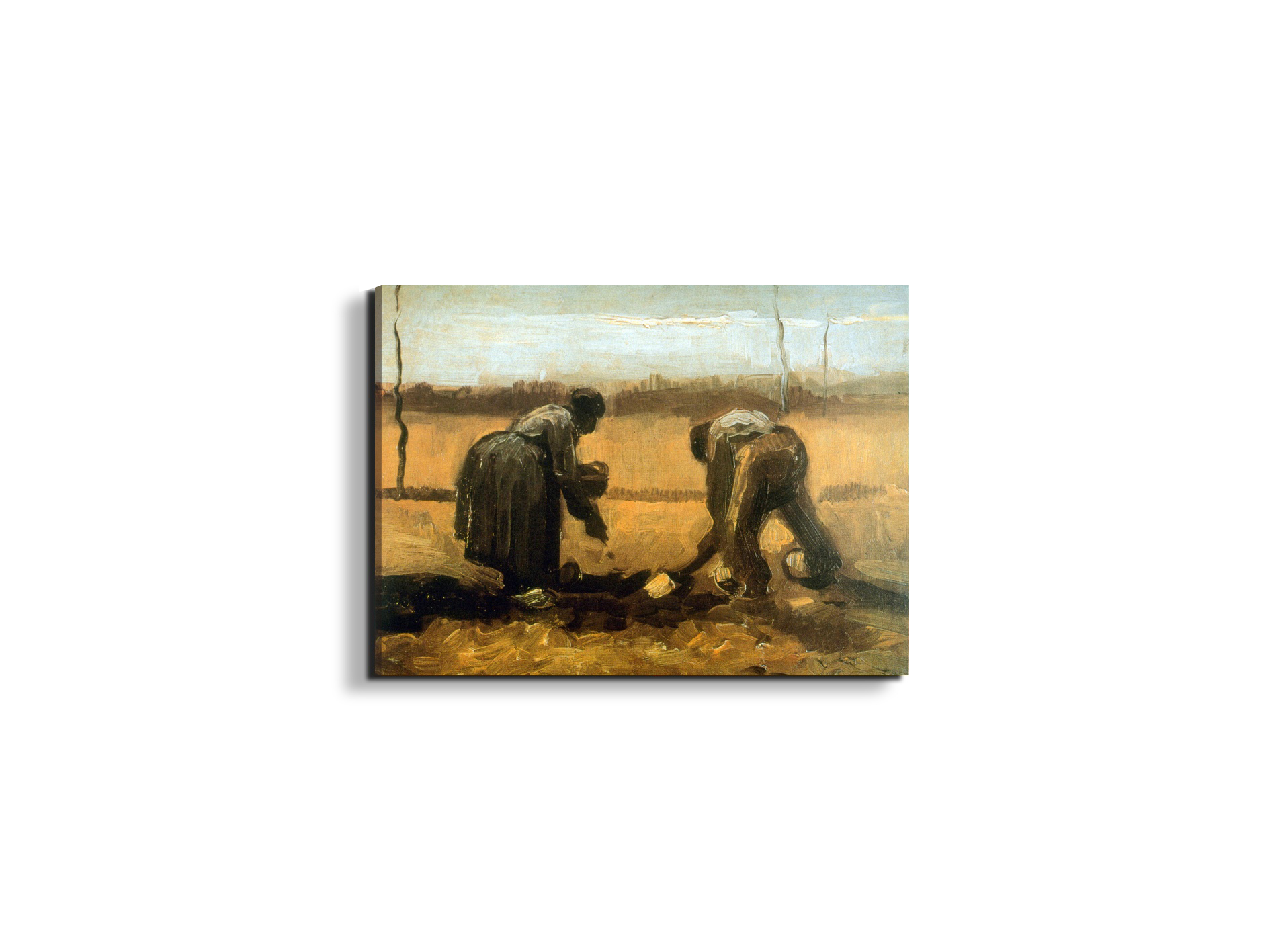 plantingas90799-#materiale_EarthArt Materic/dimensioni_50x37,50