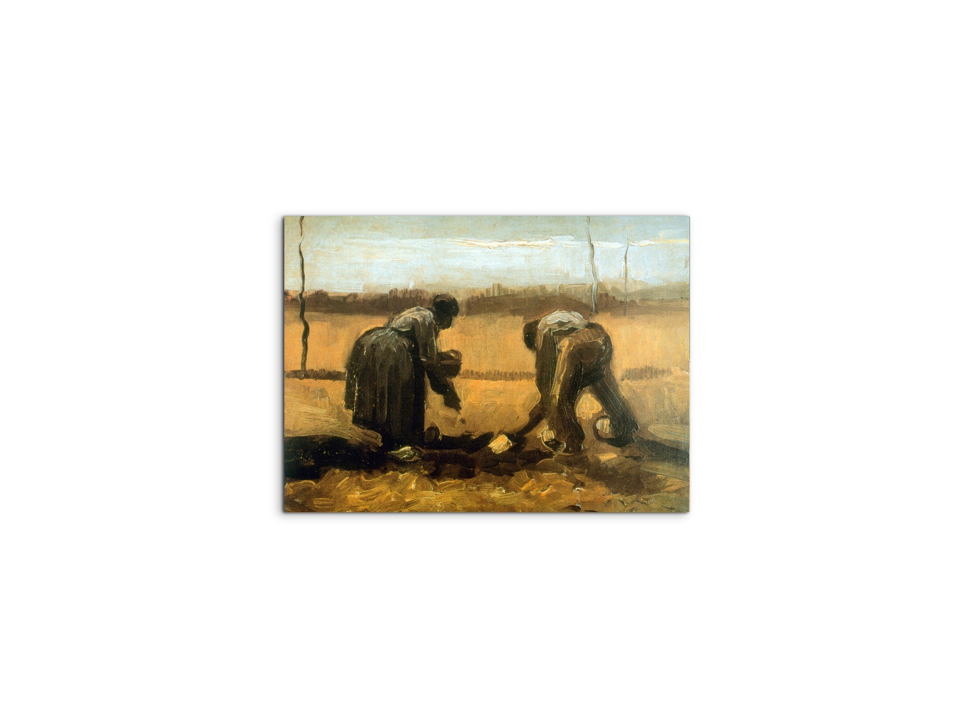 plantingas90799-#materiale_MetalArt Materic/dimensioni_50x37,50