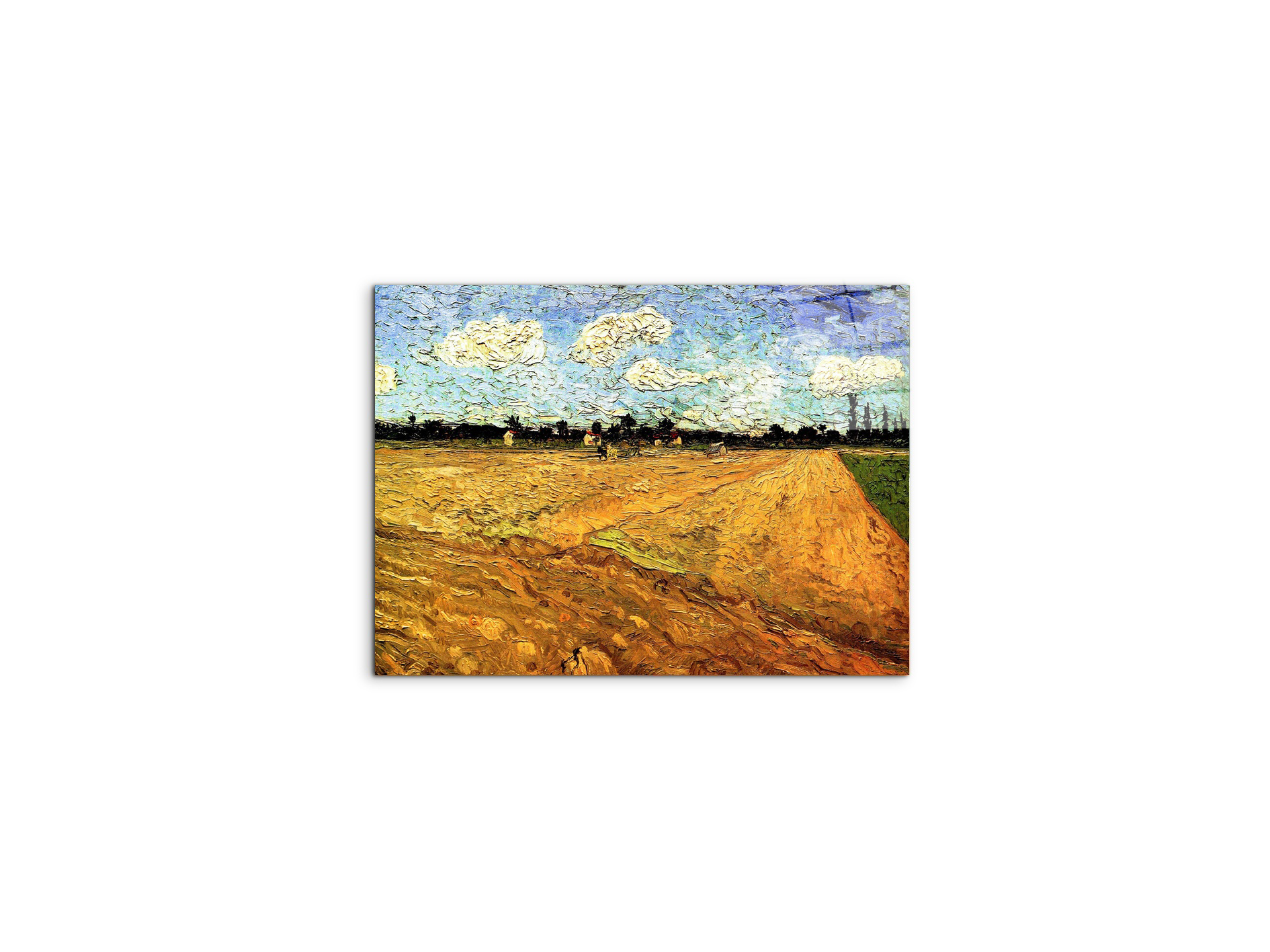 ploughed-fieldas90803-#materiale_CrystalArt/dimensioni_50x37,50