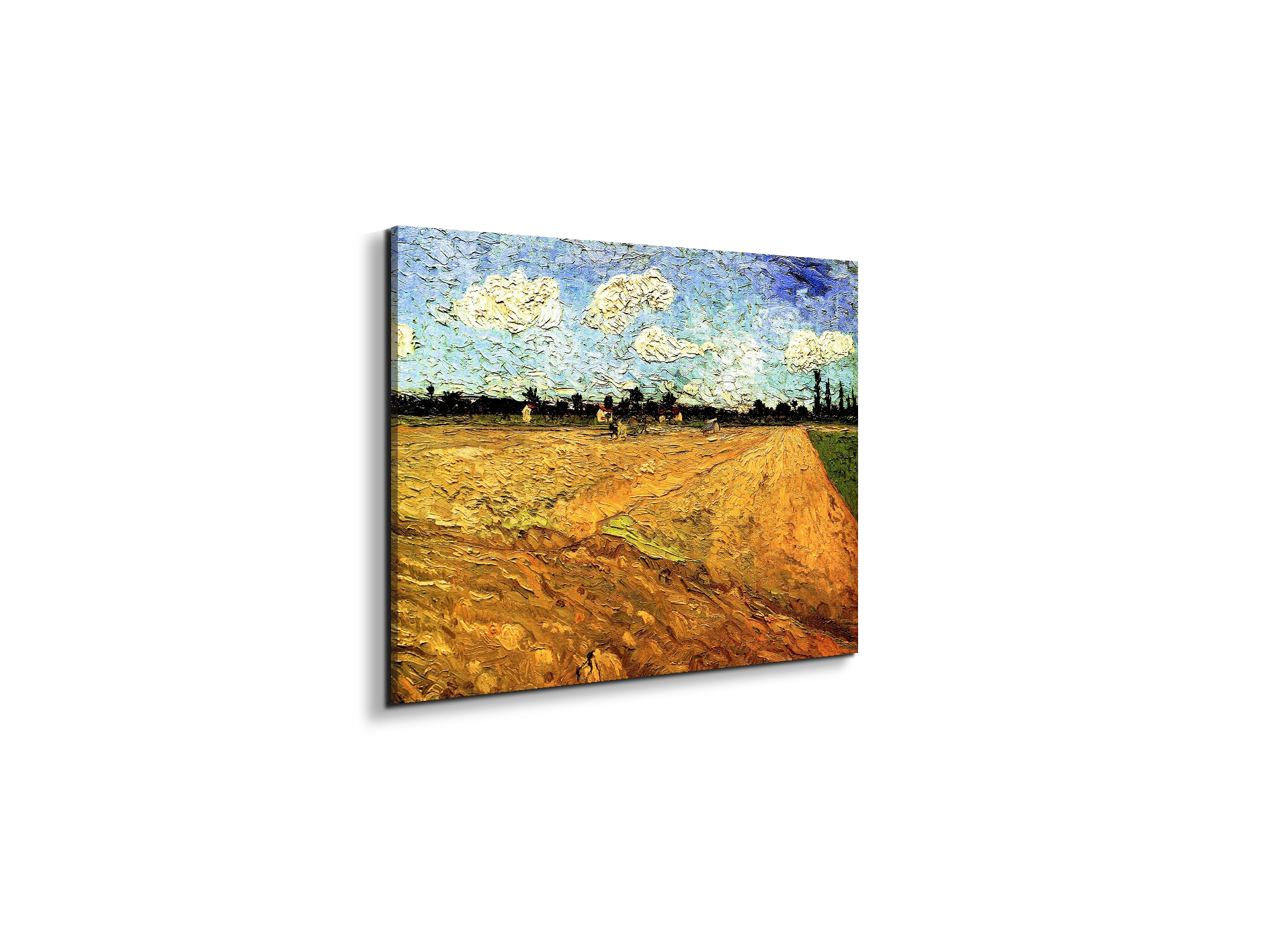 ploughed-fieldas90803-#materiale_EarthArt/dimensioni_50x37,50